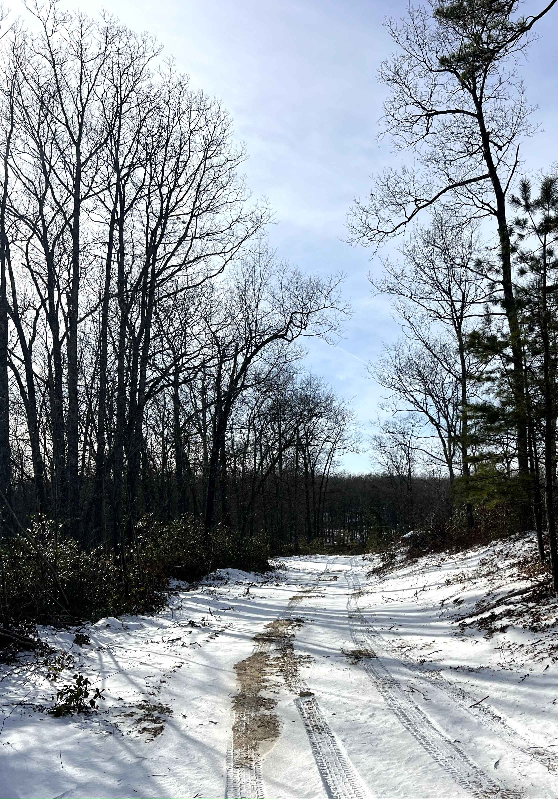 Coffer's Vista Trail