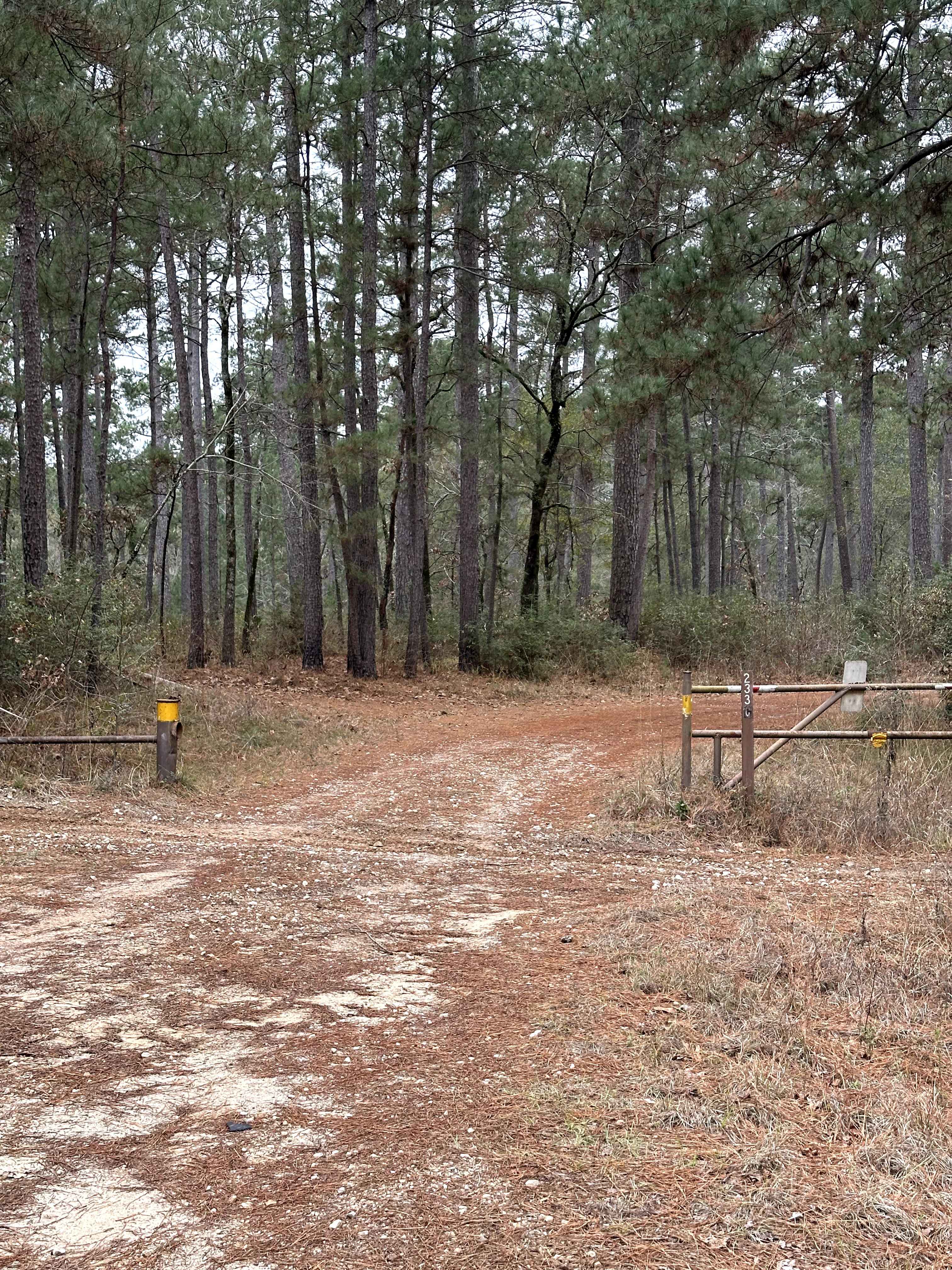 Brown Branch - FS 233C