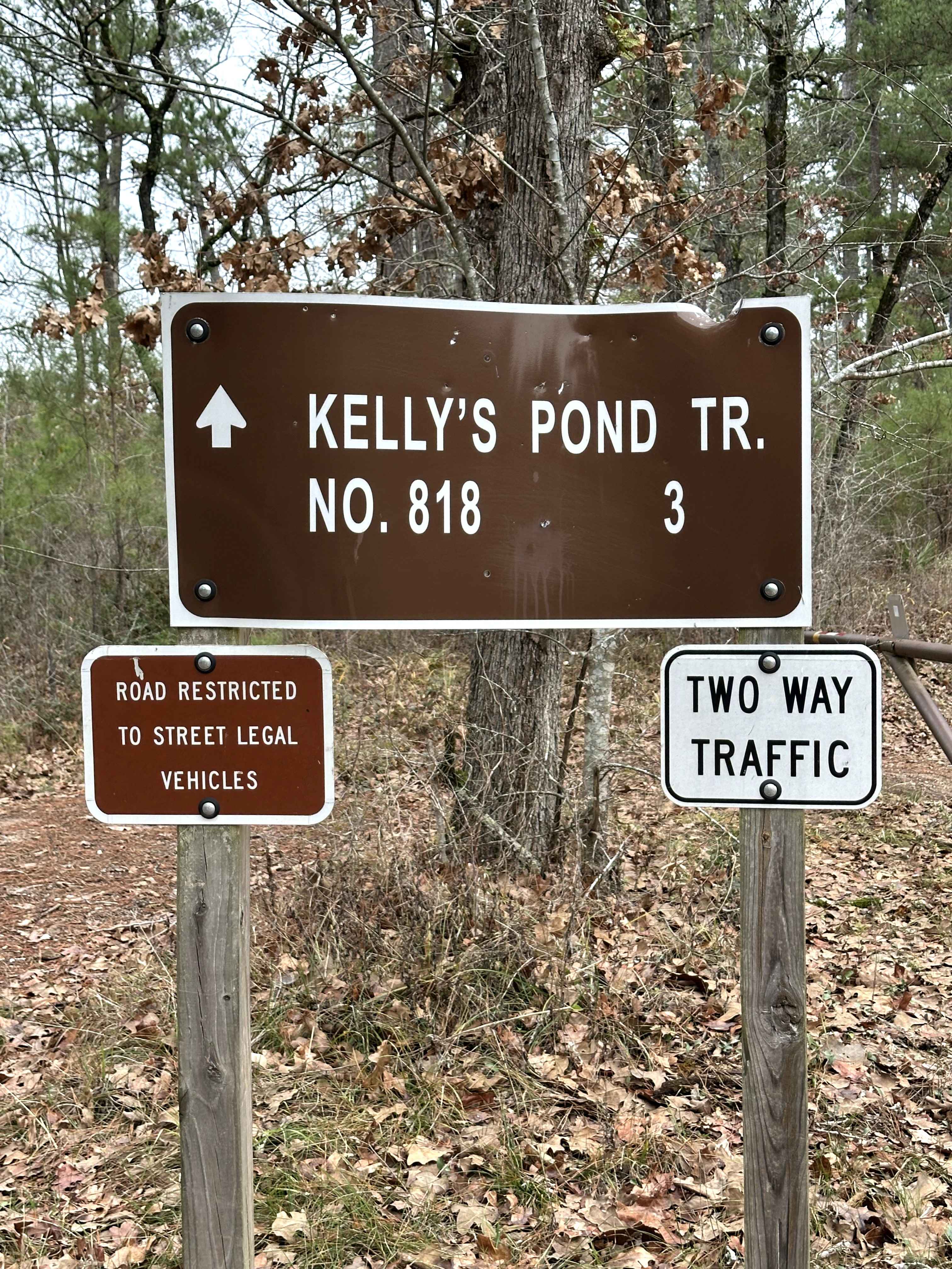 Kelly's Pond Road - FS 271
