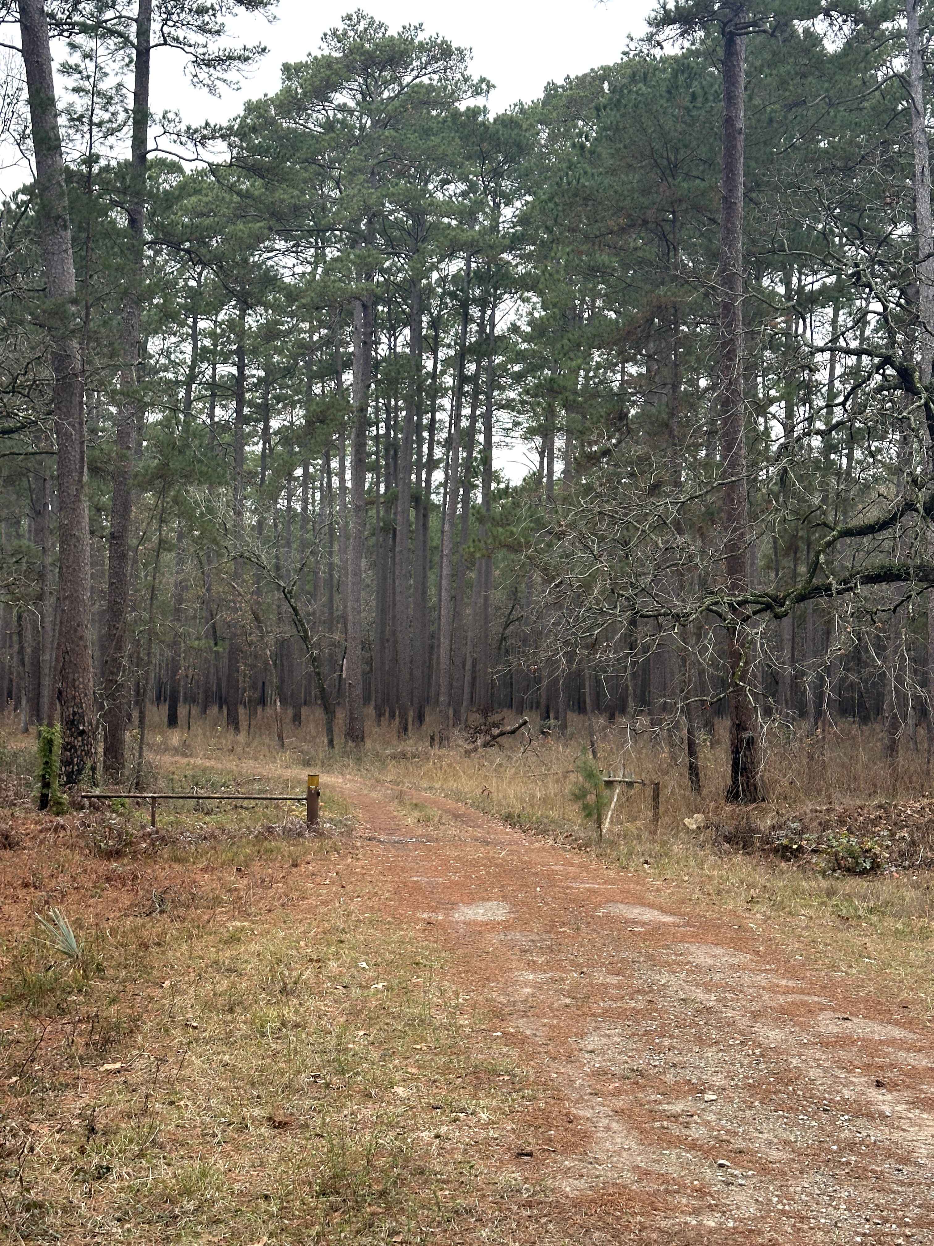 Pipe Specs - FS 219B