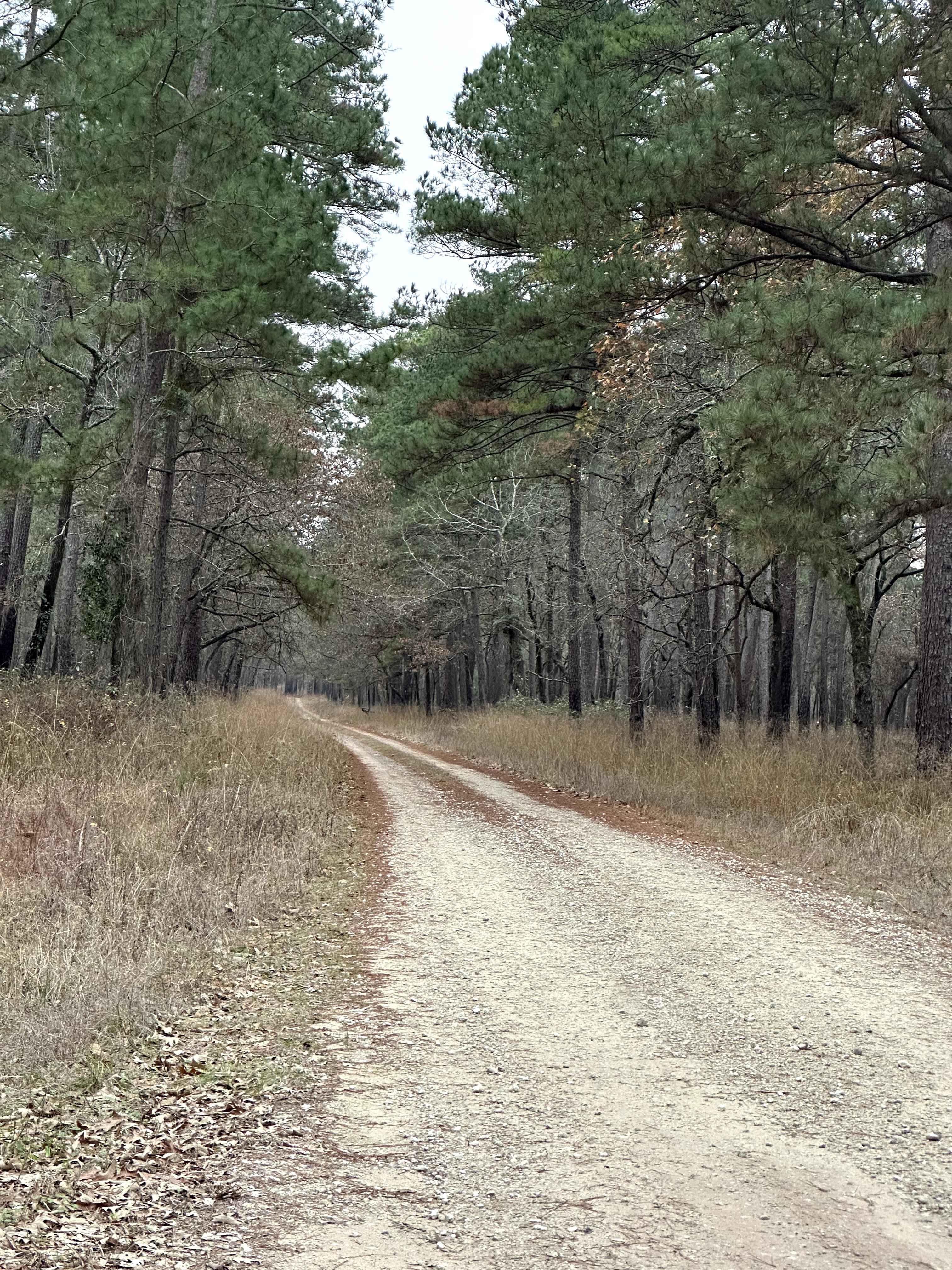 Perry Williams - FS 219A