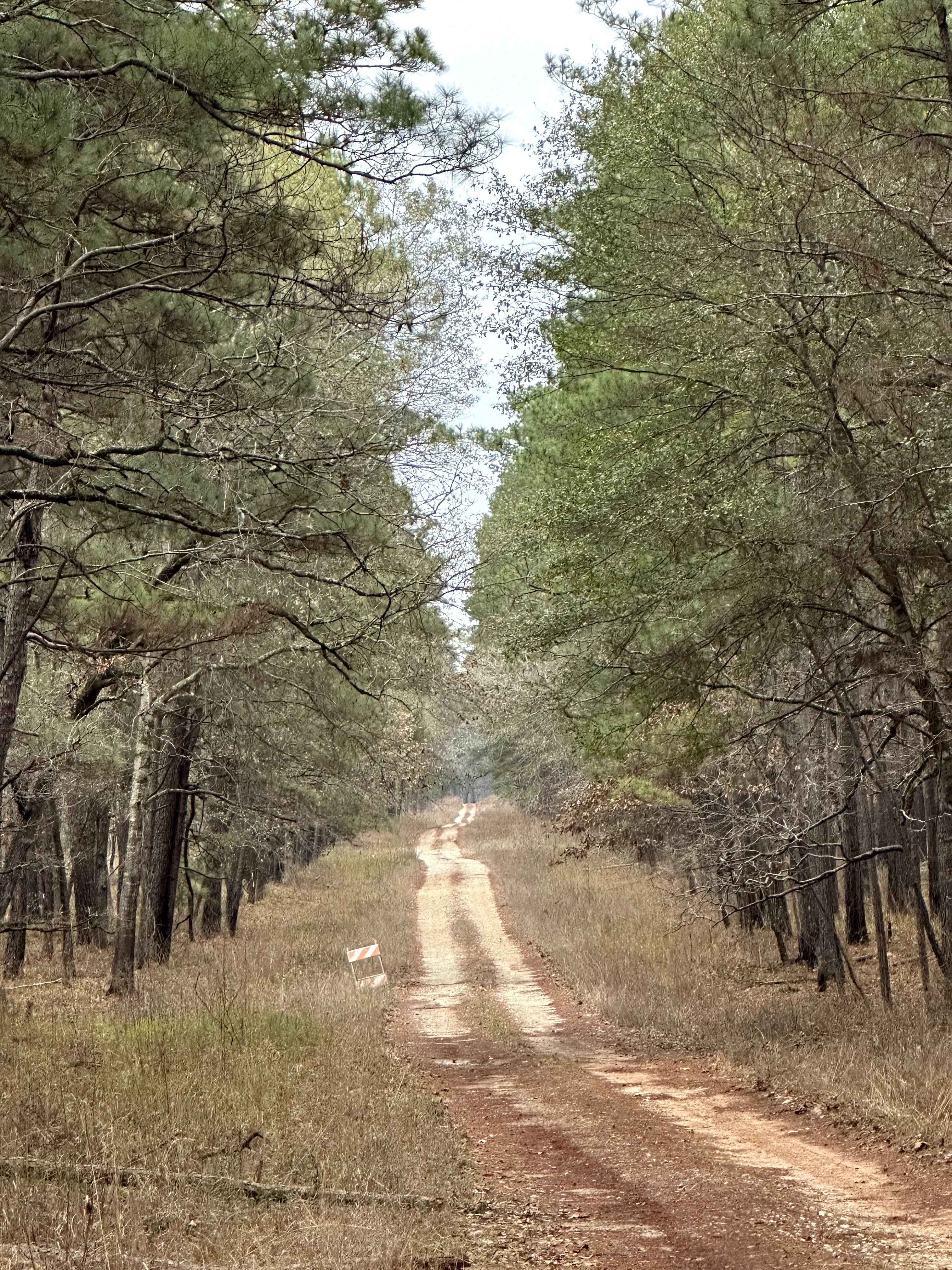 Perry Williams - FS 219A