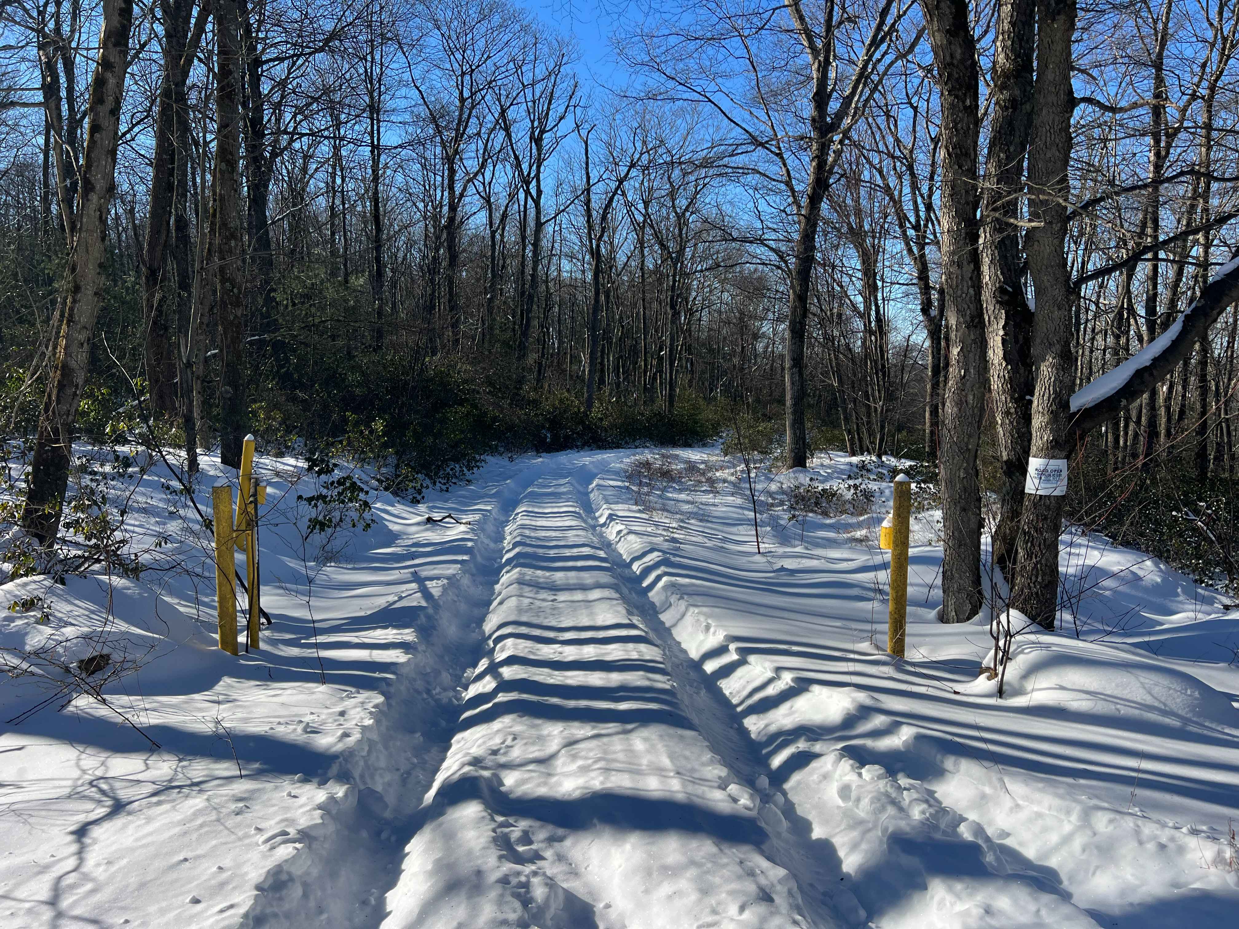 Shriner Mountain West Road