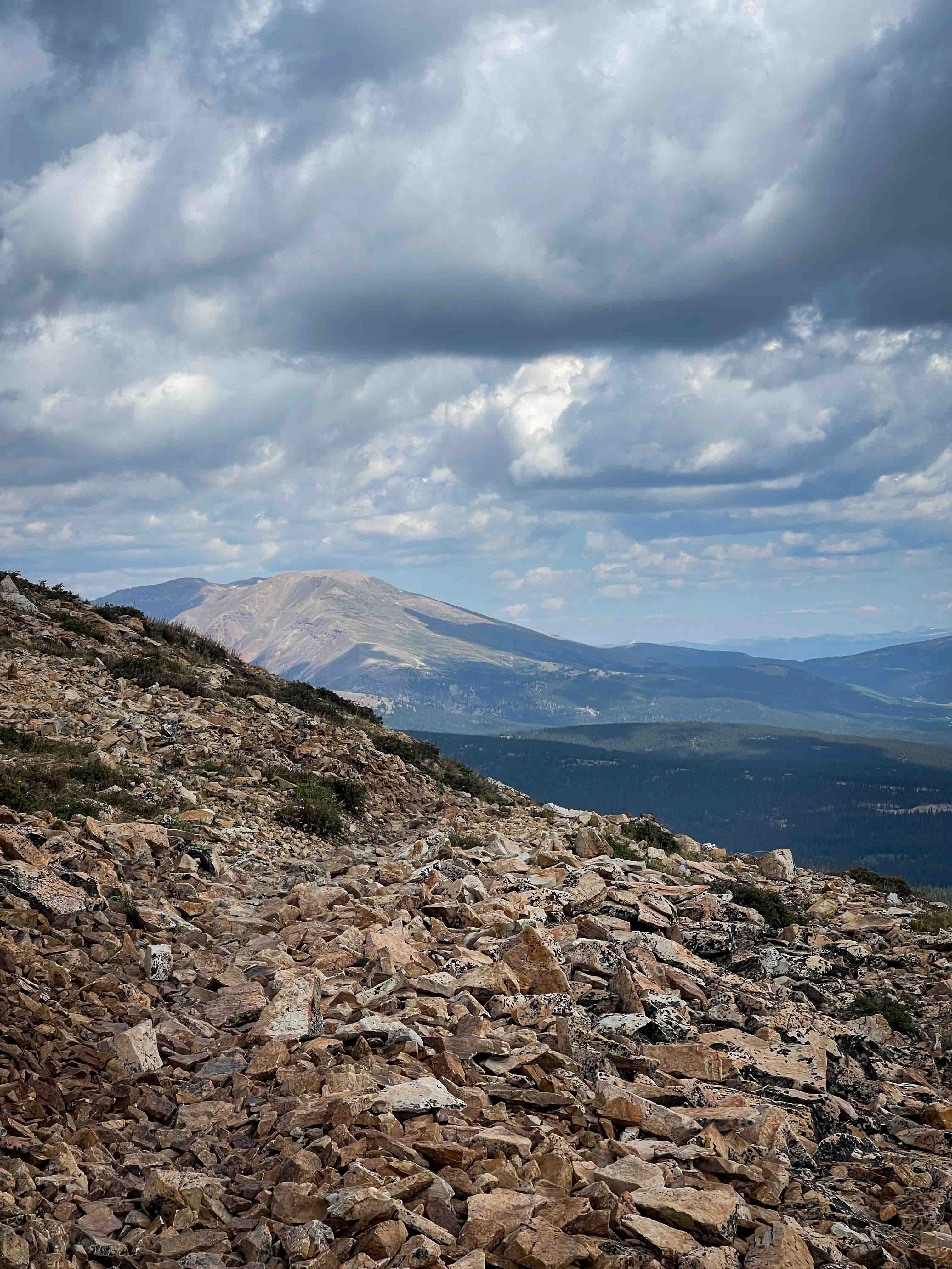 Sheep Mountain Trail #691