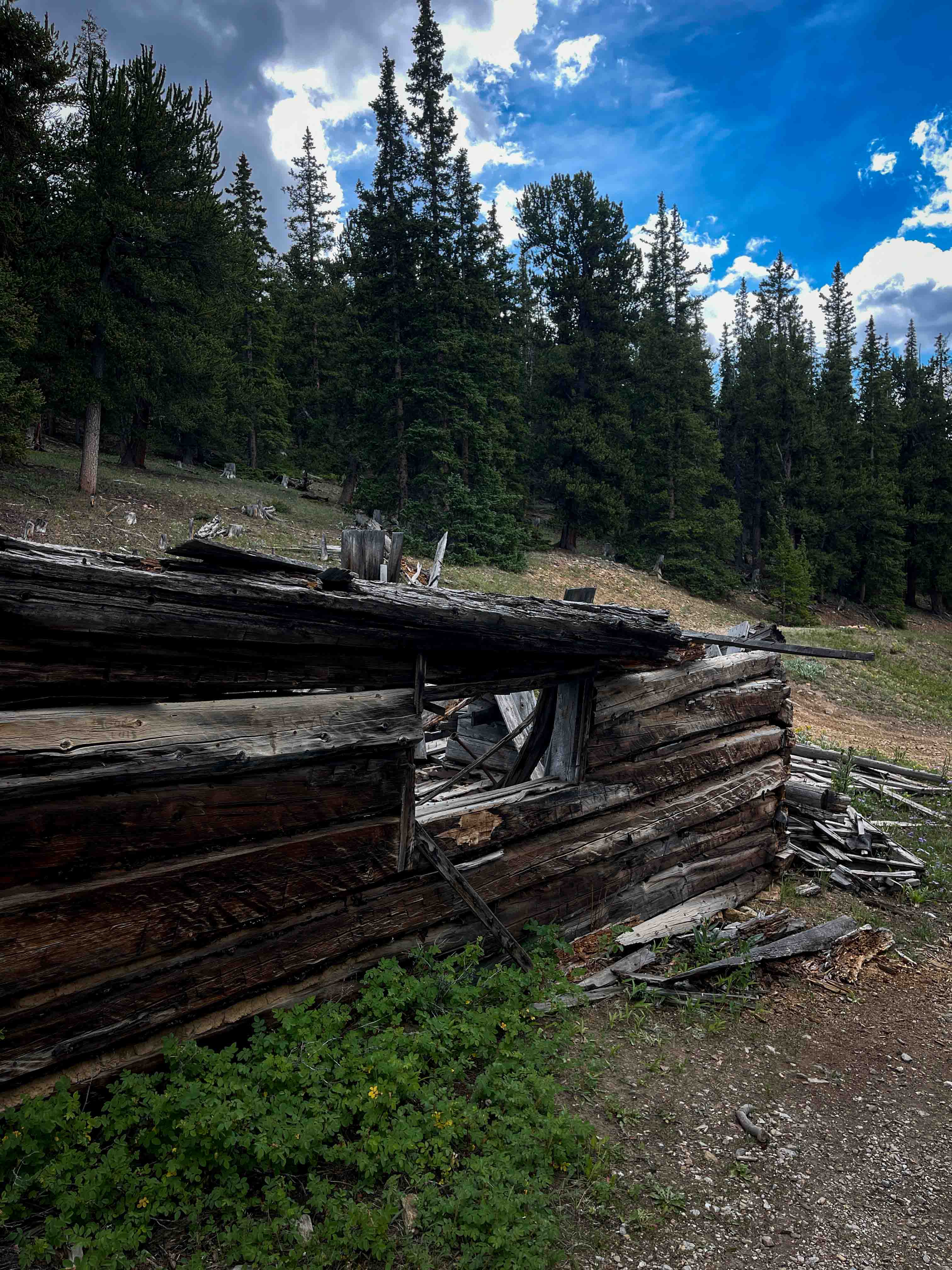 Browns Pass Trail #739