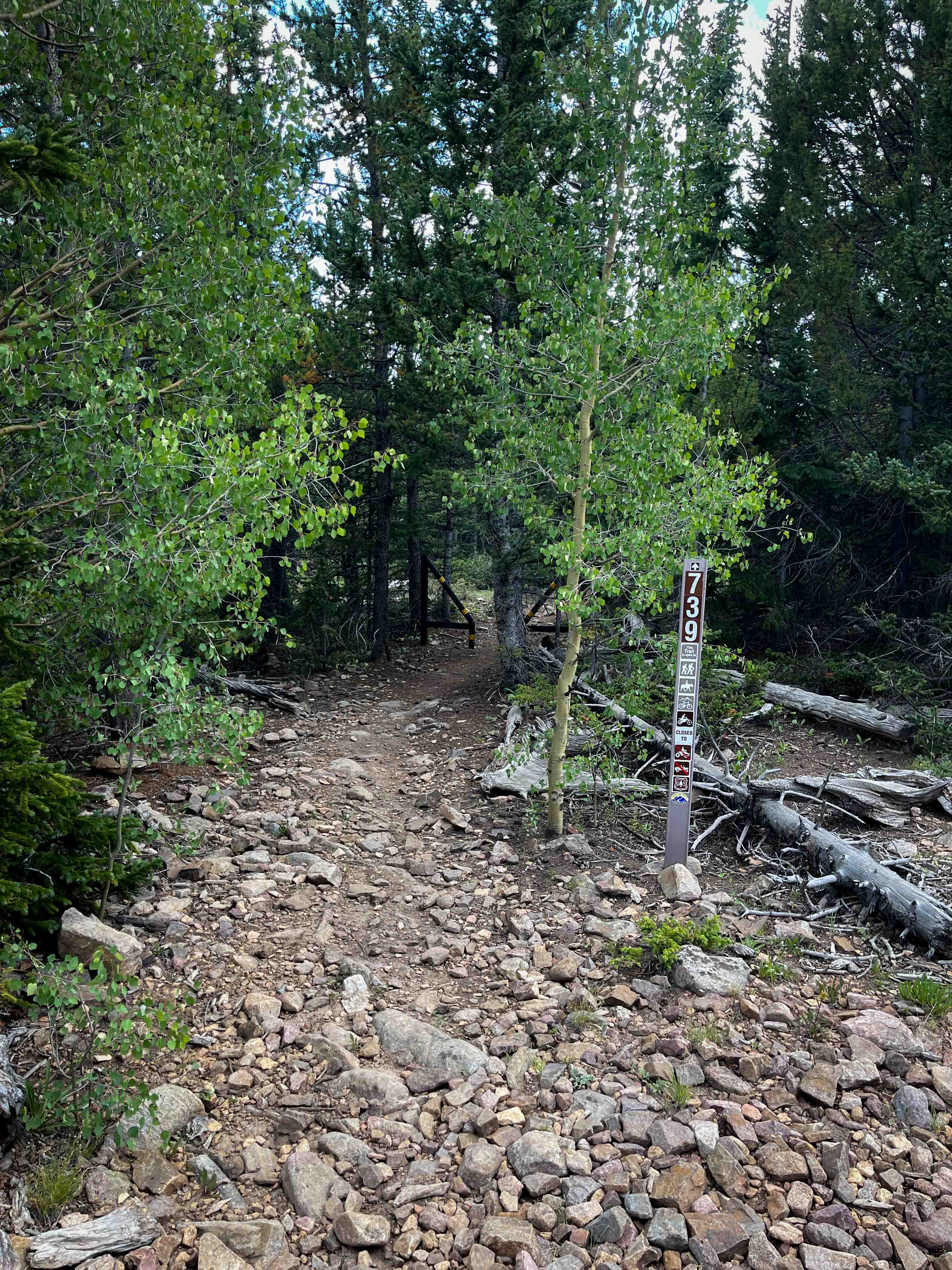 Browns Pass Trail #739