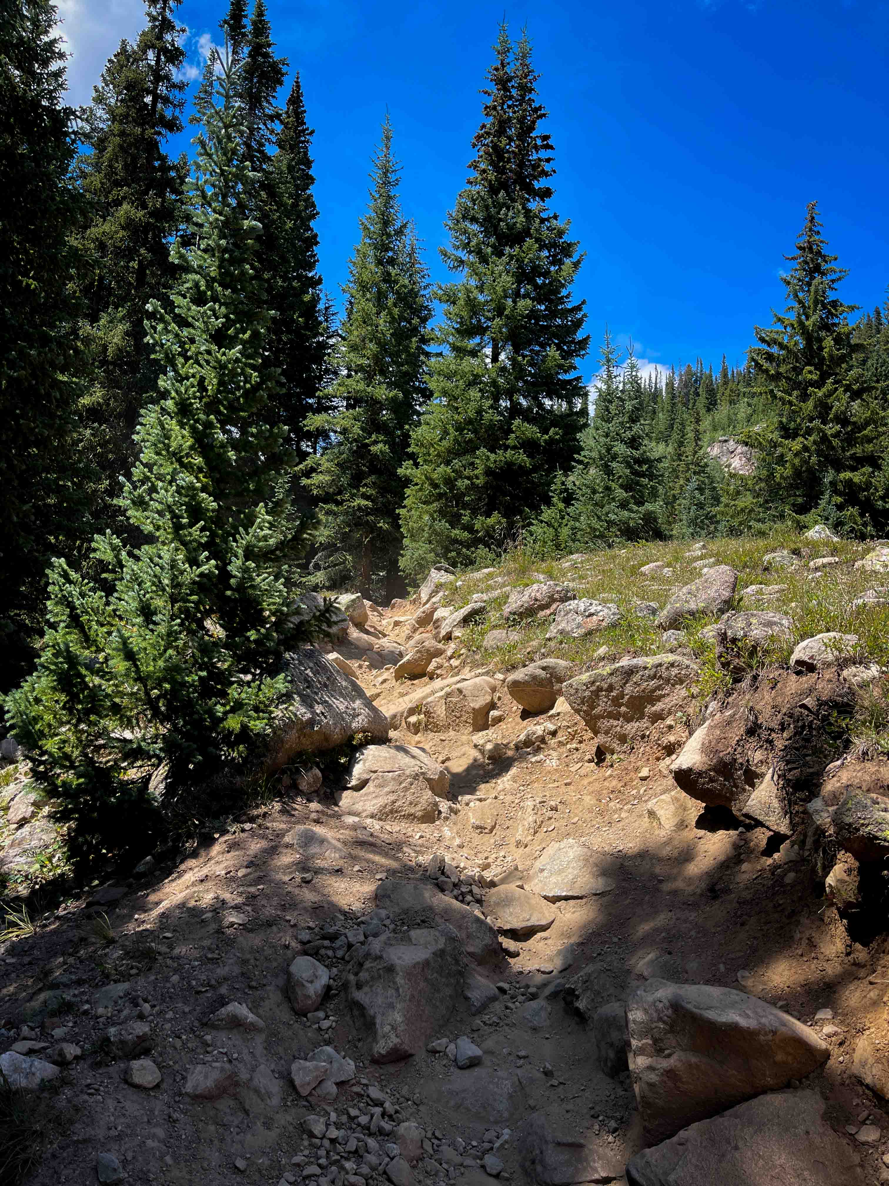 Star Lily Connector #623