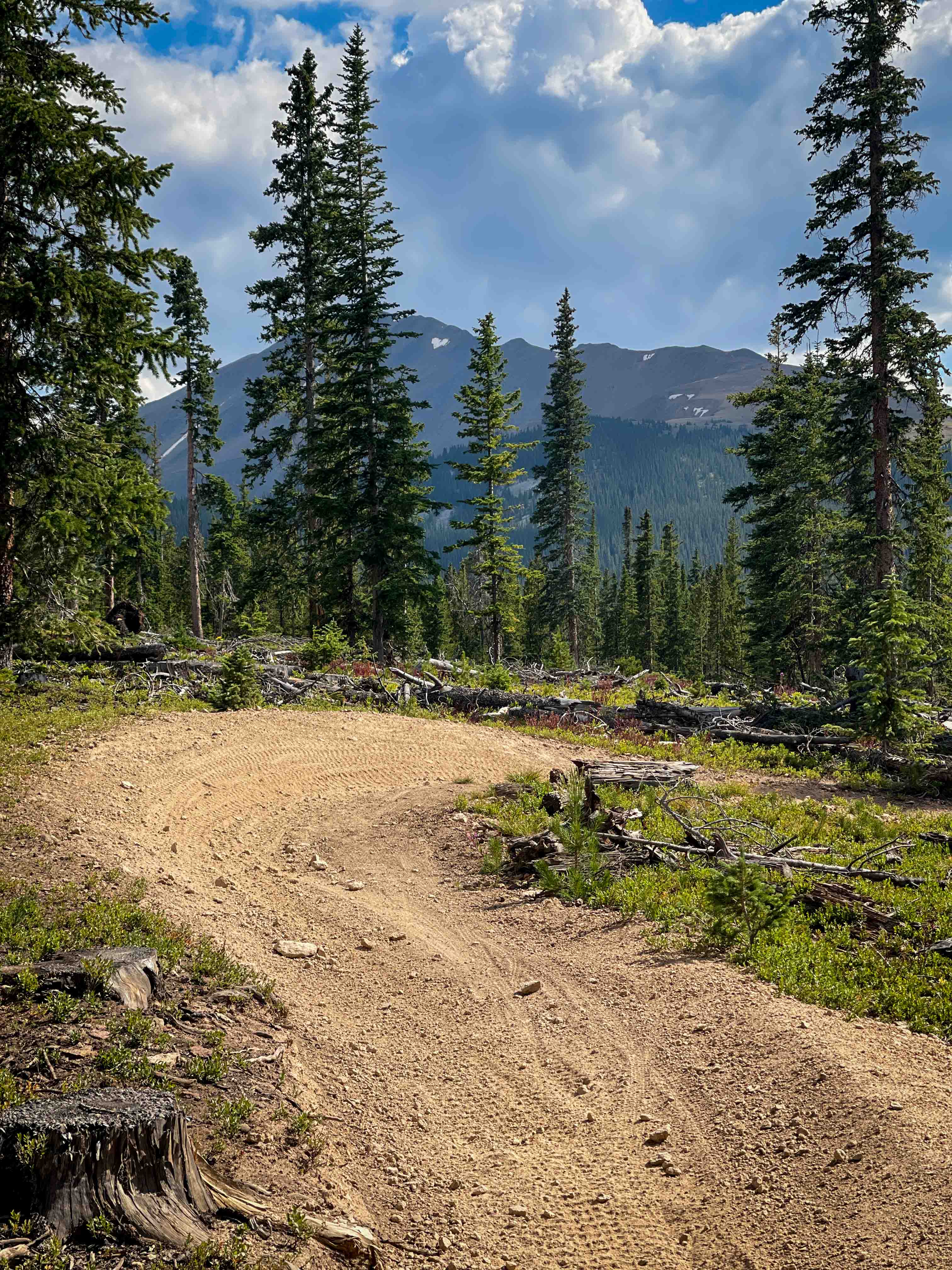 Governor King Trail #GH67