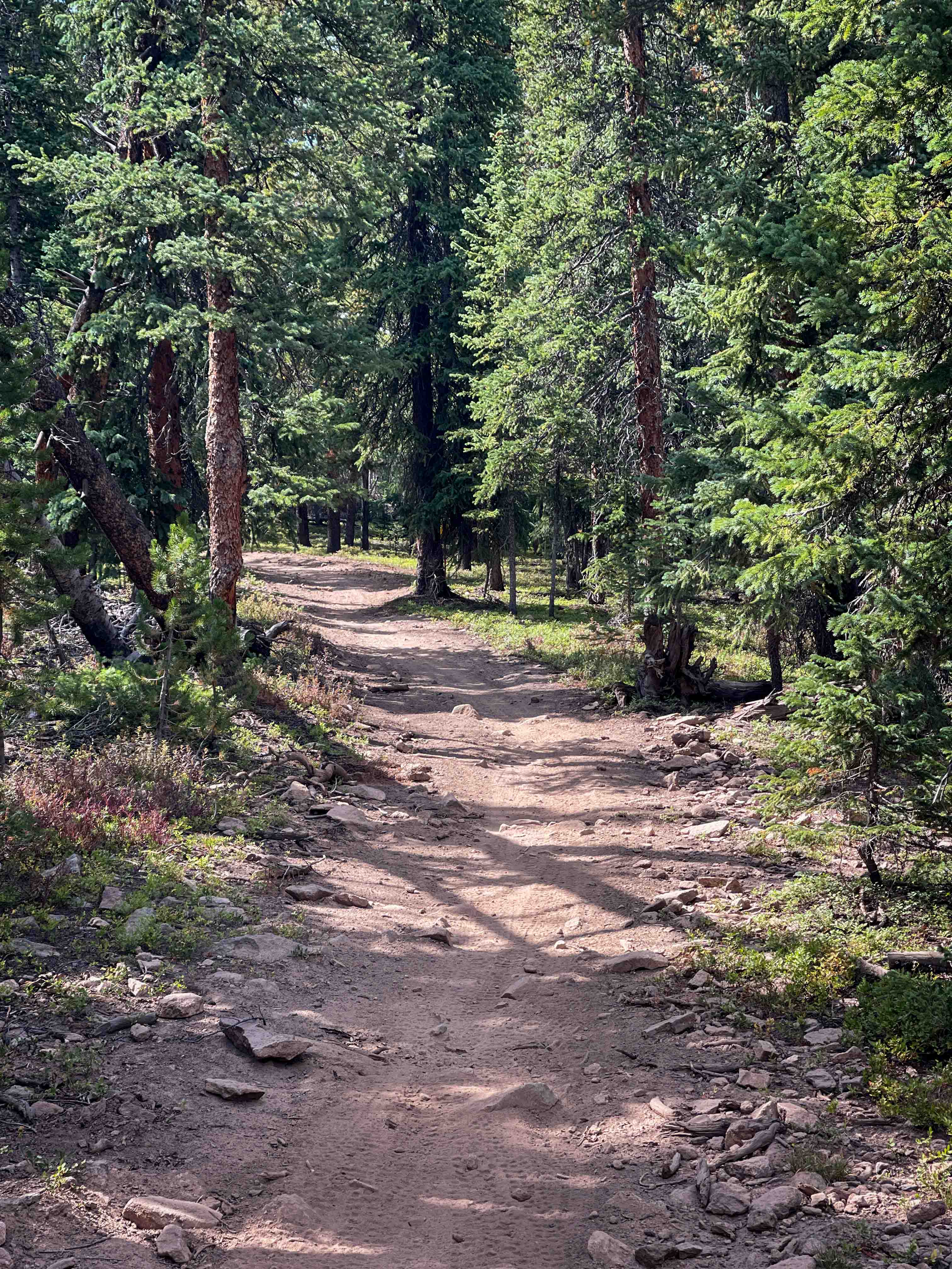 Governor King Trail #GH67