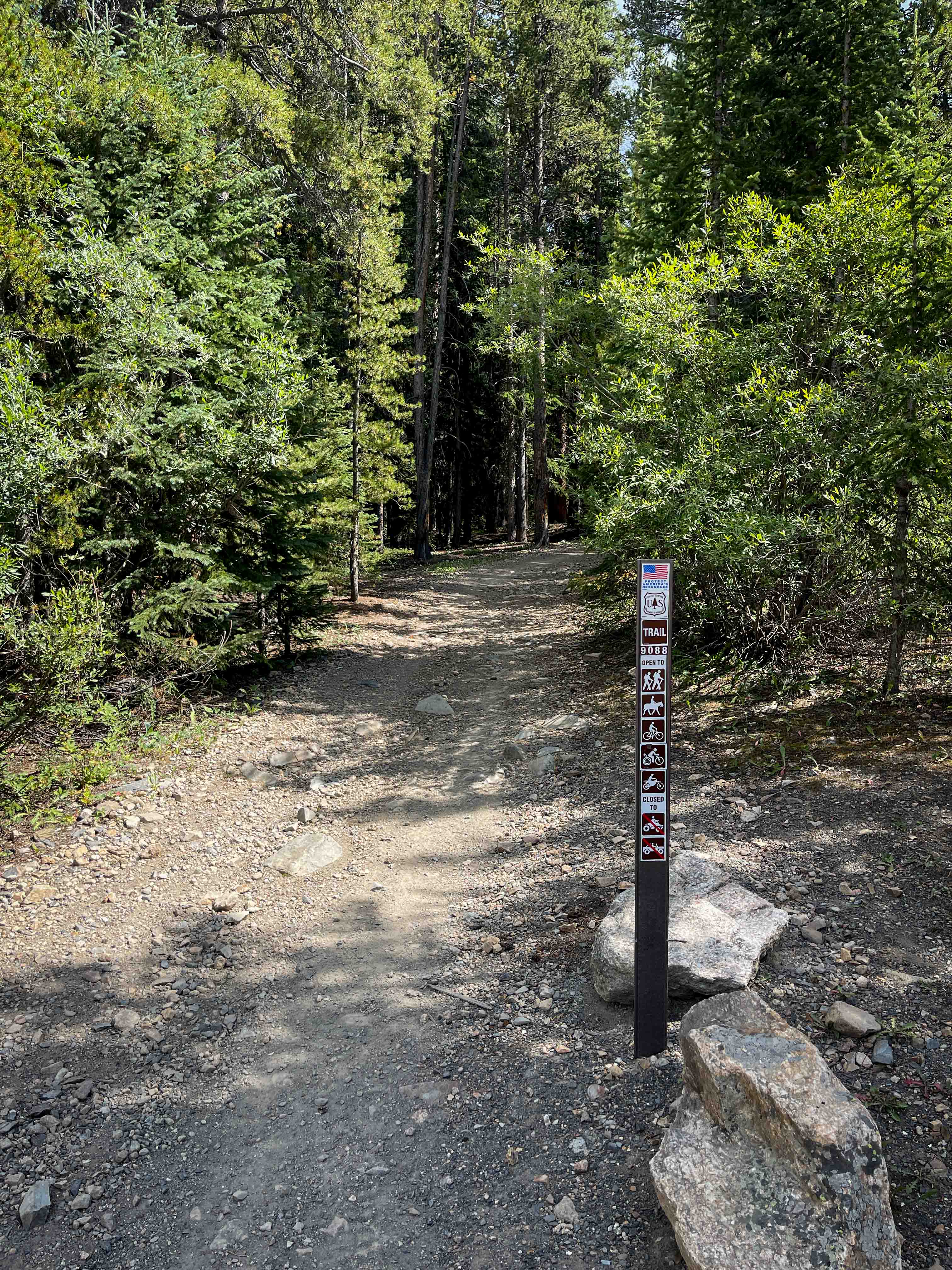 South Fork Swan Trail #9088