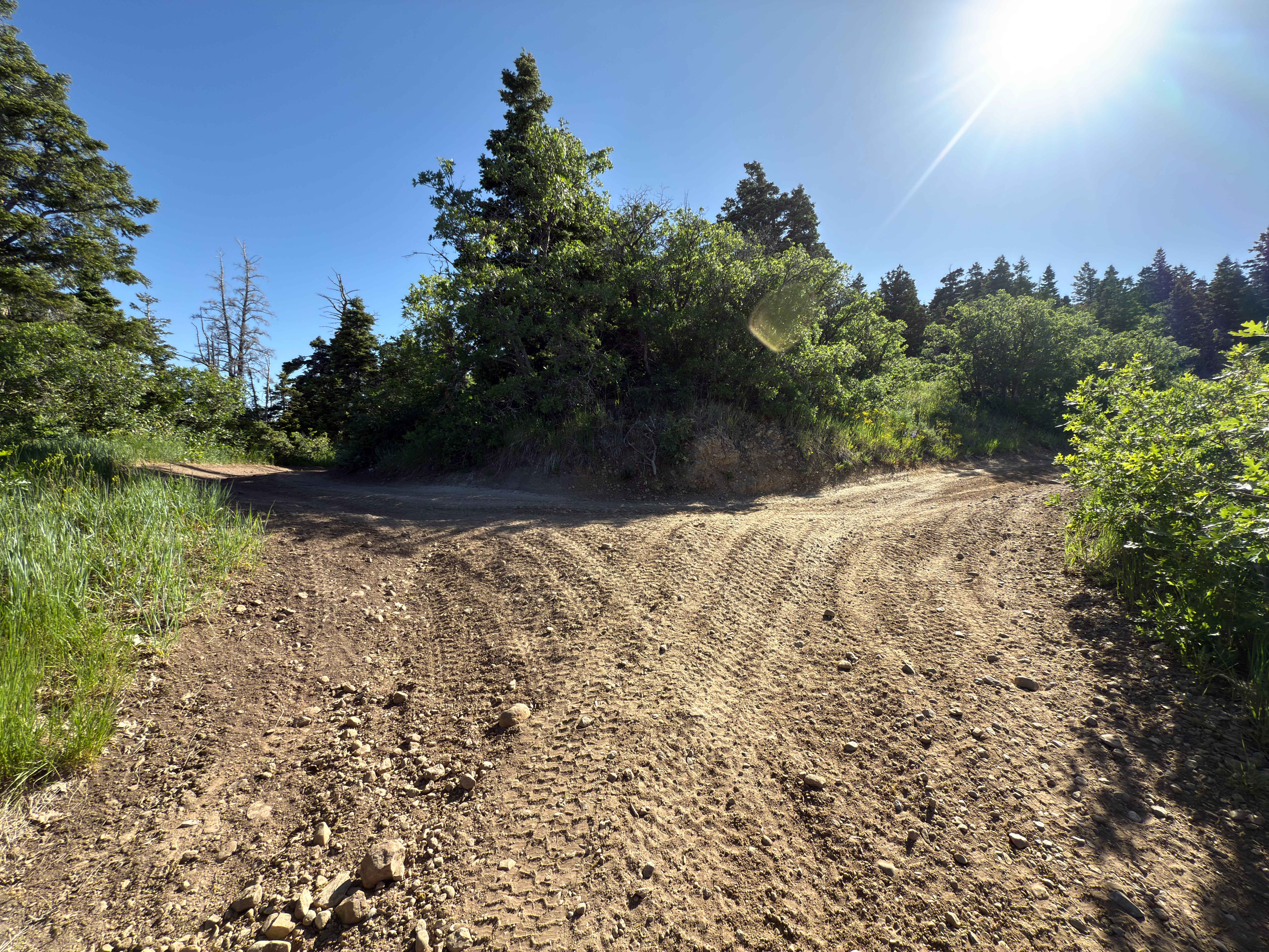 Death Hollow - 50148