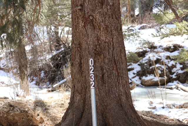 Smith Reservoir - FS 50232