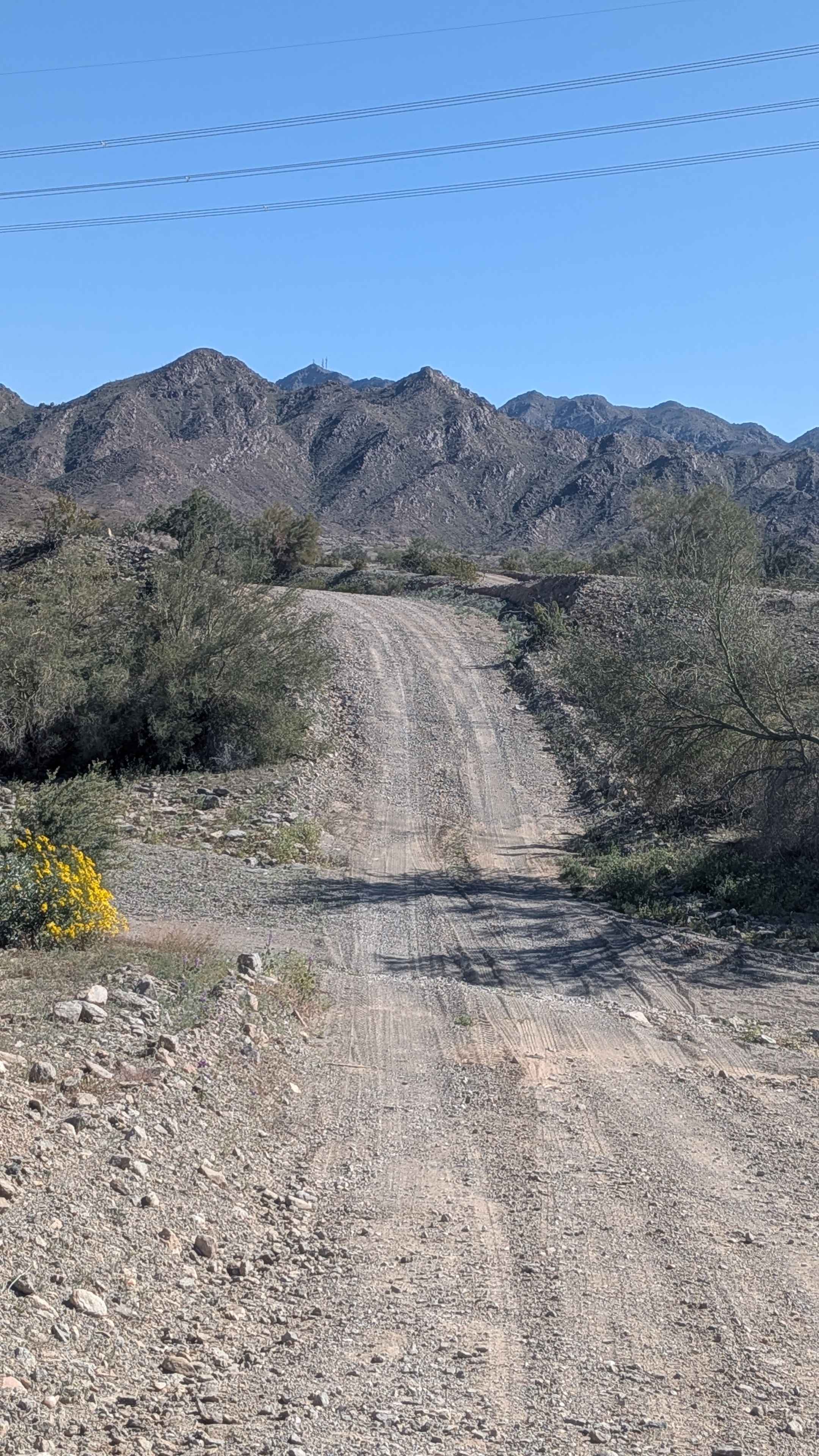 Tom Wells Road - EC1268