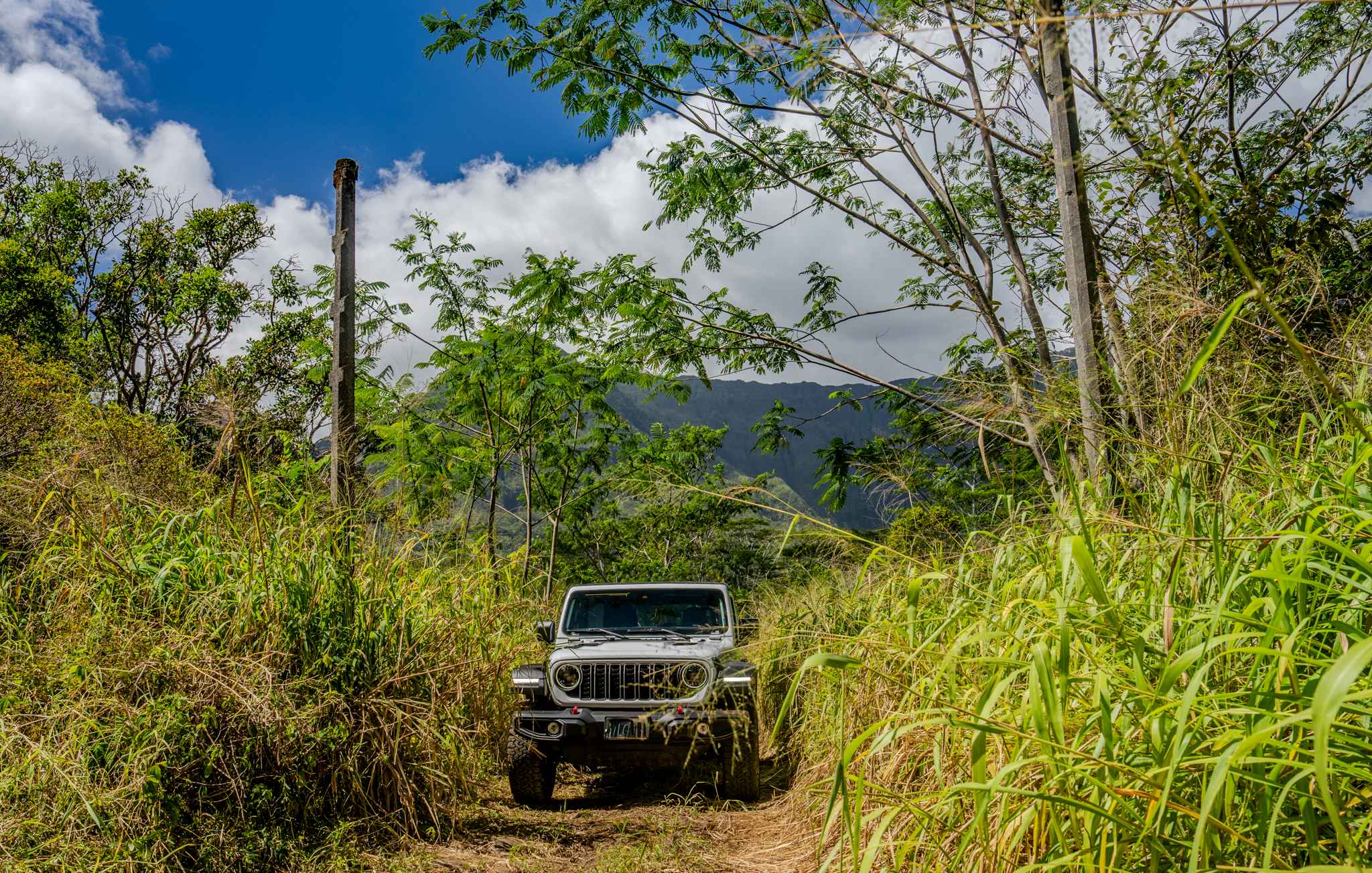 Jurassic Park Gate Trail