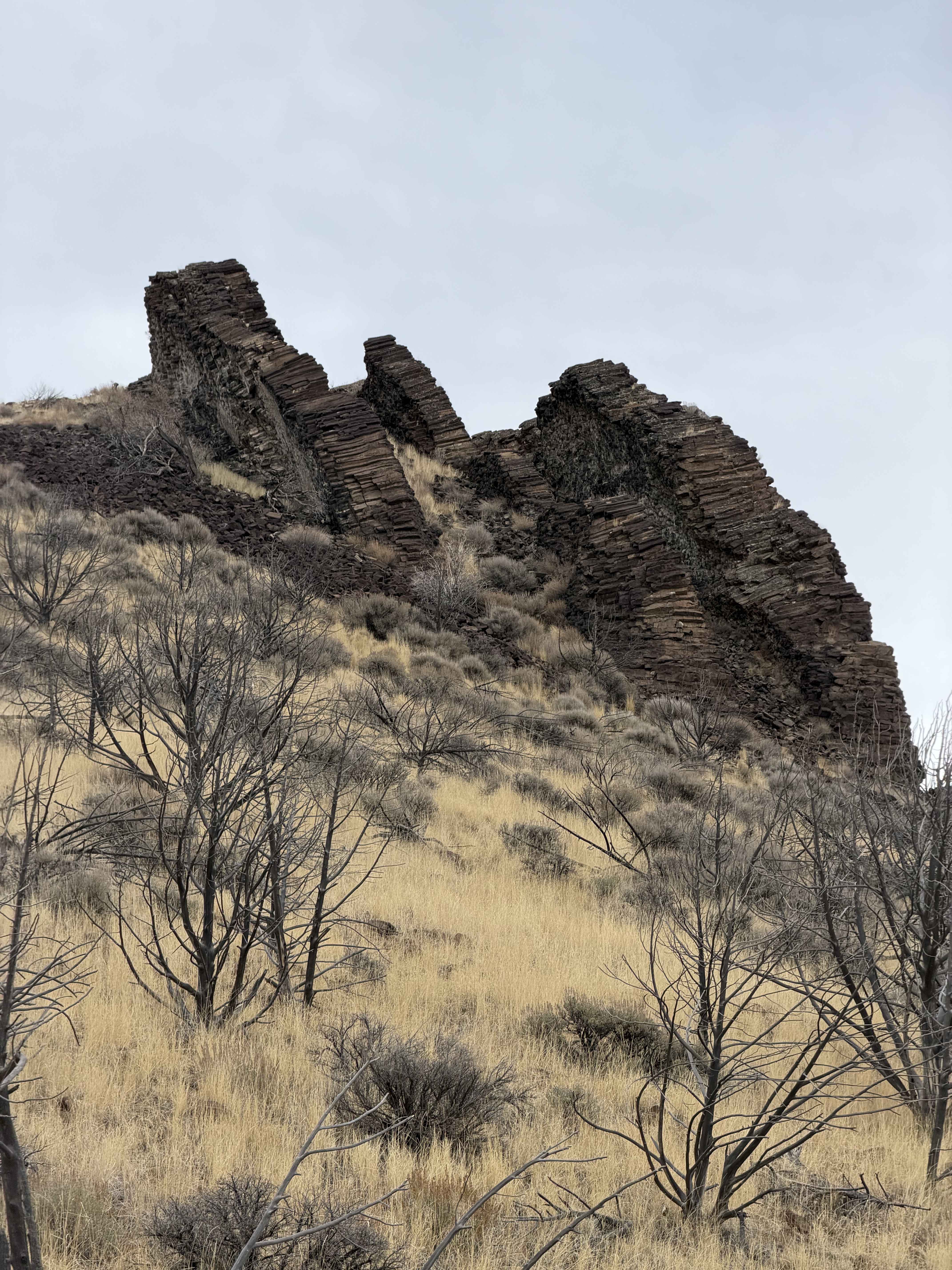 Paul Bunyan's Woodpile
