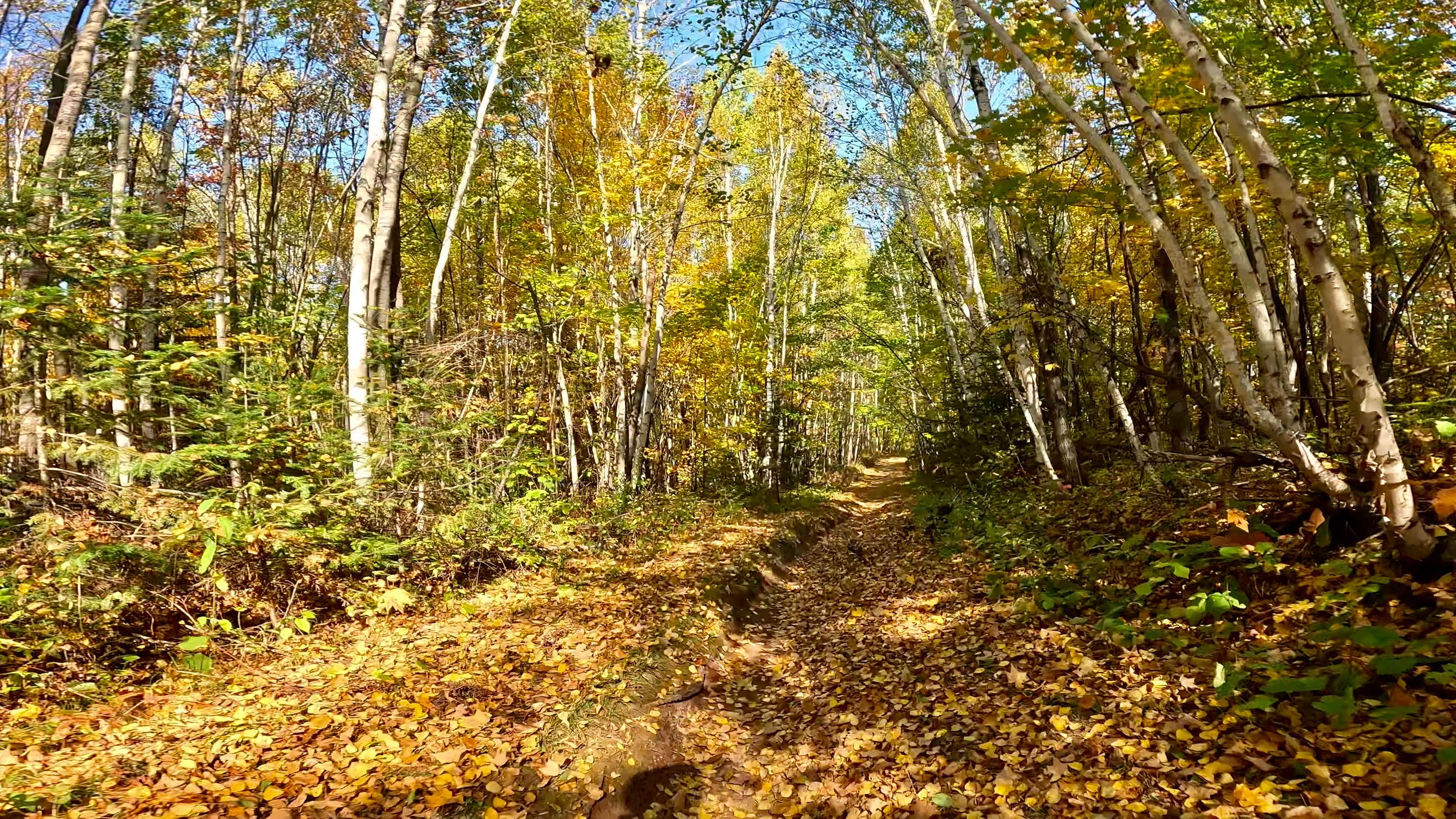 Tamarack Straight Arrow East Trail