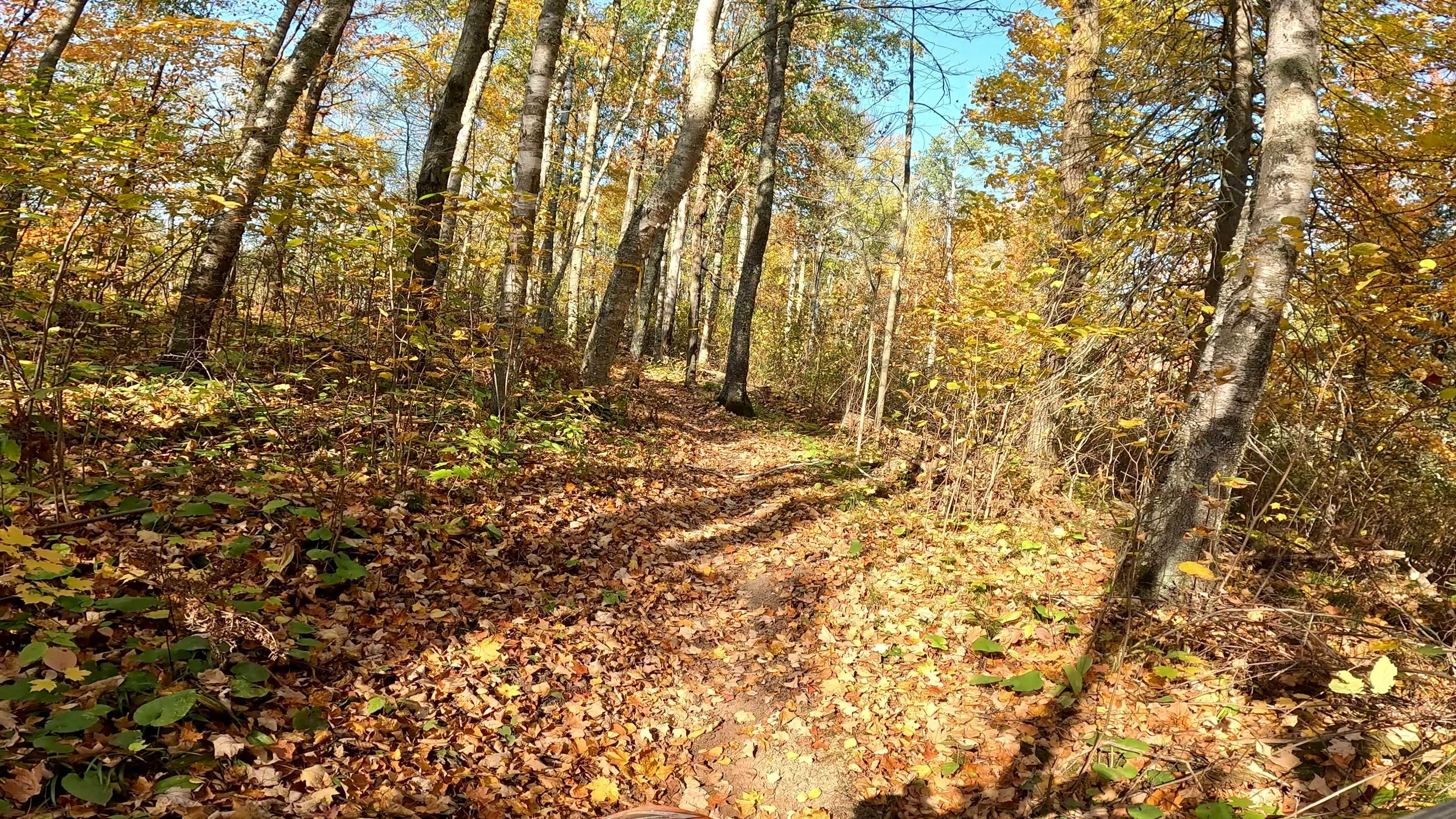 Tamarack Straight Arrow Blue Trail