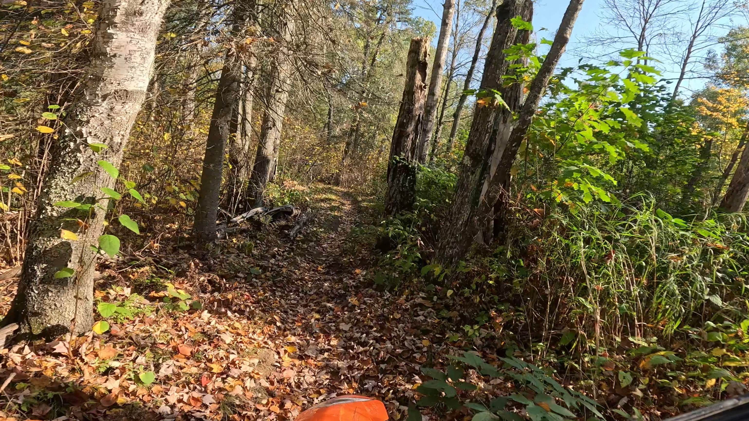 Tamarack Straight Arrow Blue Trail