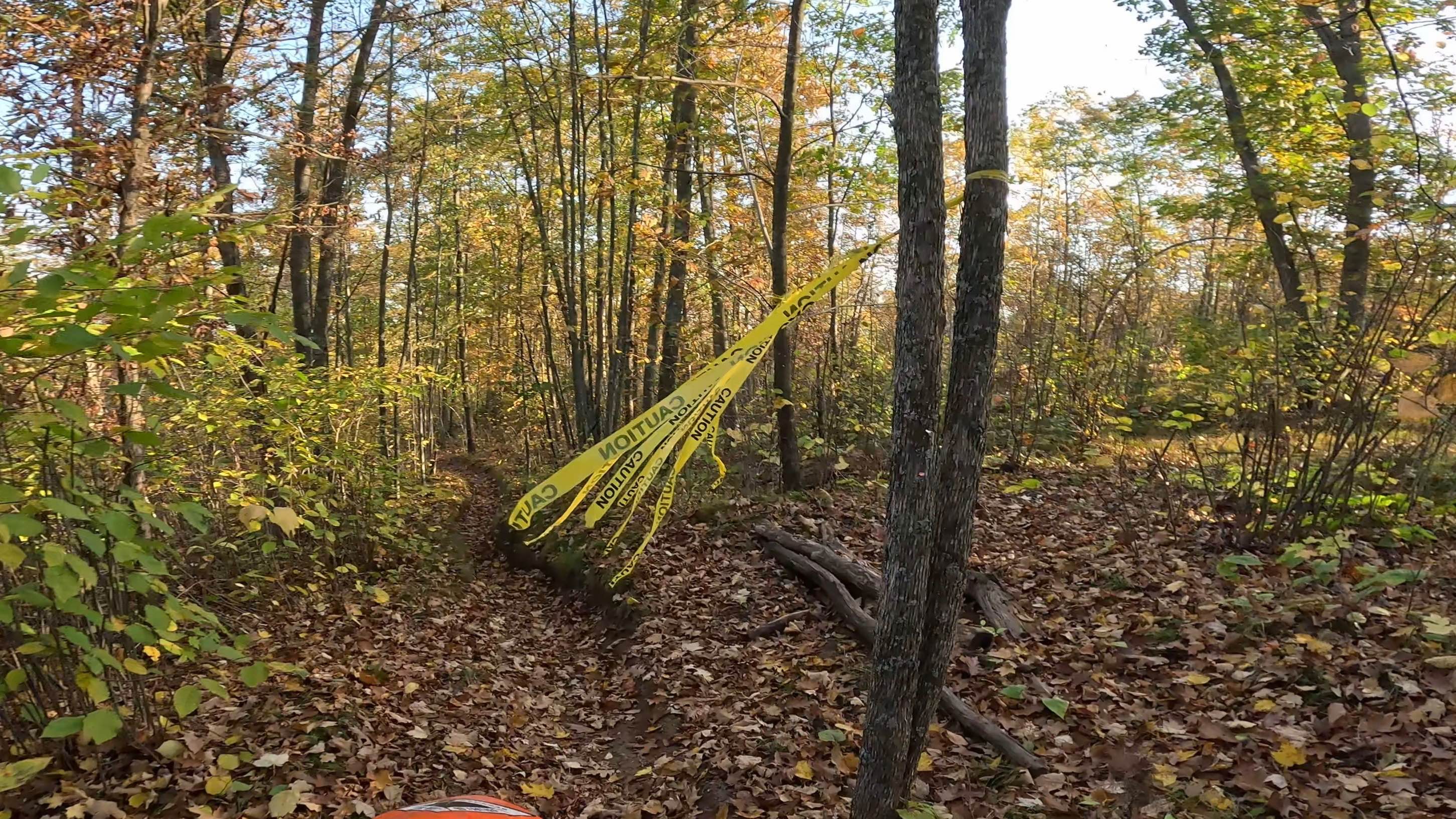 Straight Arrow Long Trail