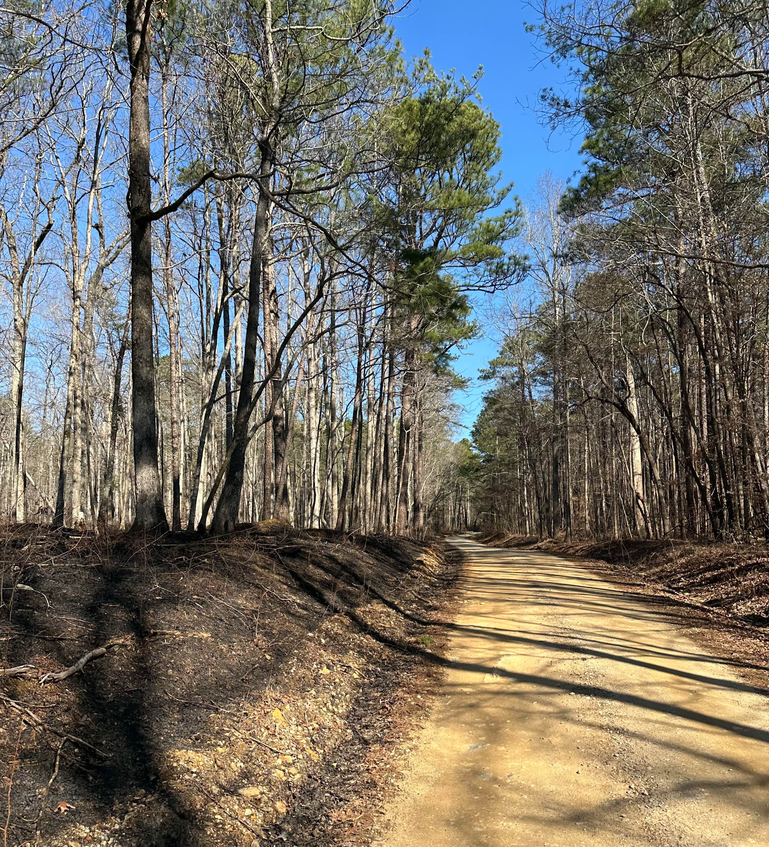 Duck Nest Motorway - FS 651