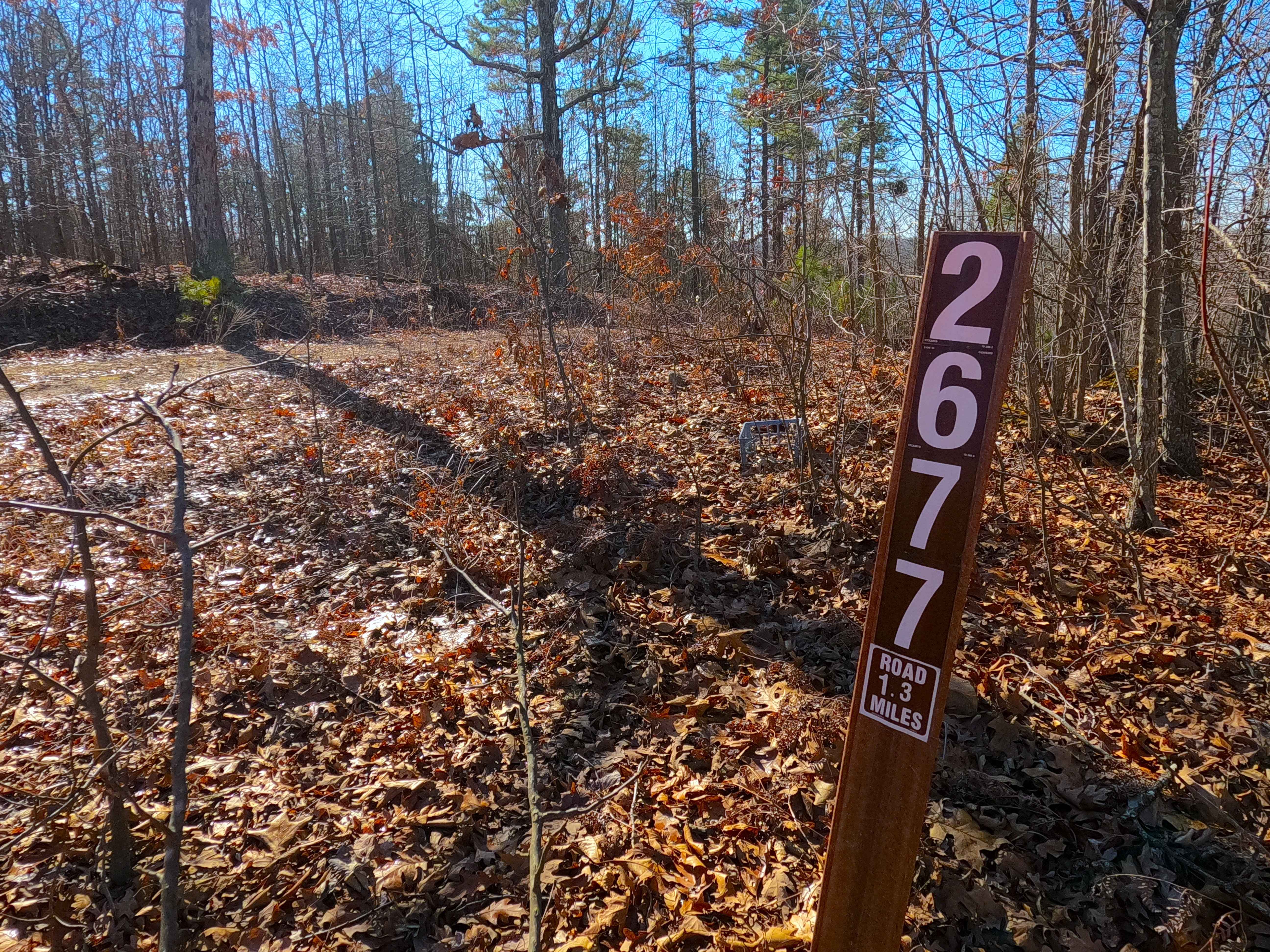 Buzzard Ridge - FS 2677