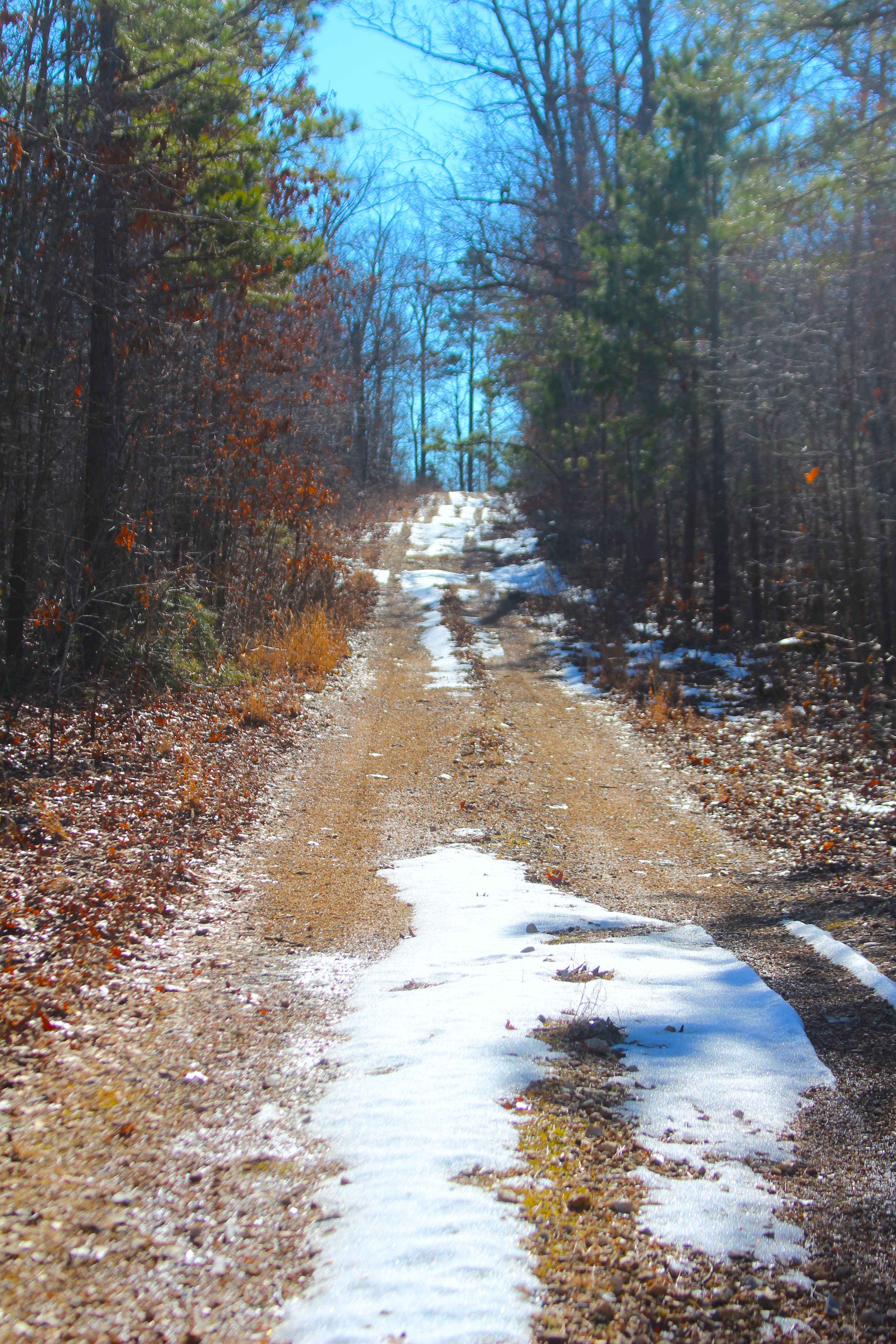 Buzzard Ridge - FS 2677