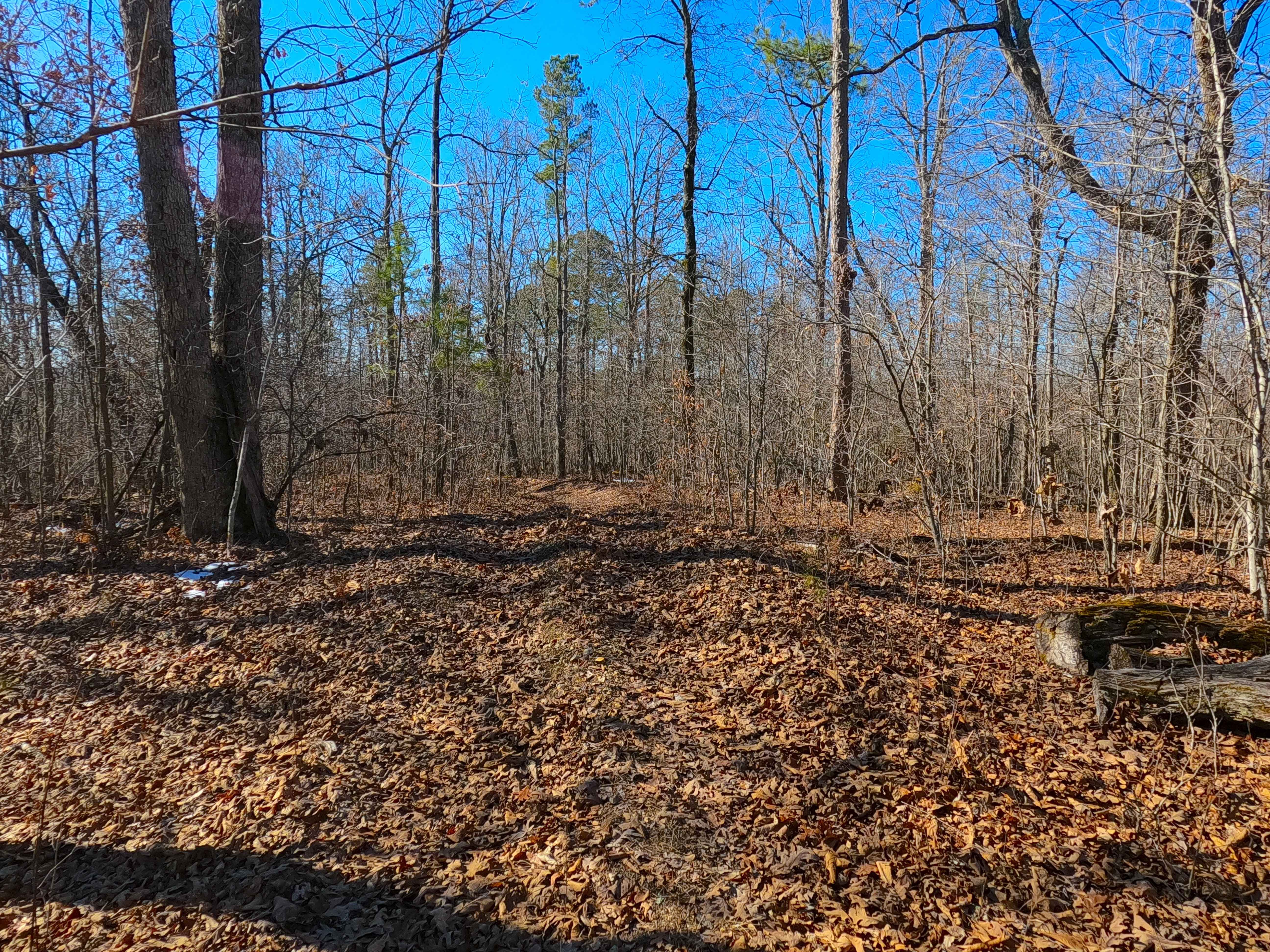 Sutton Bluff ATV 12 - SB 12