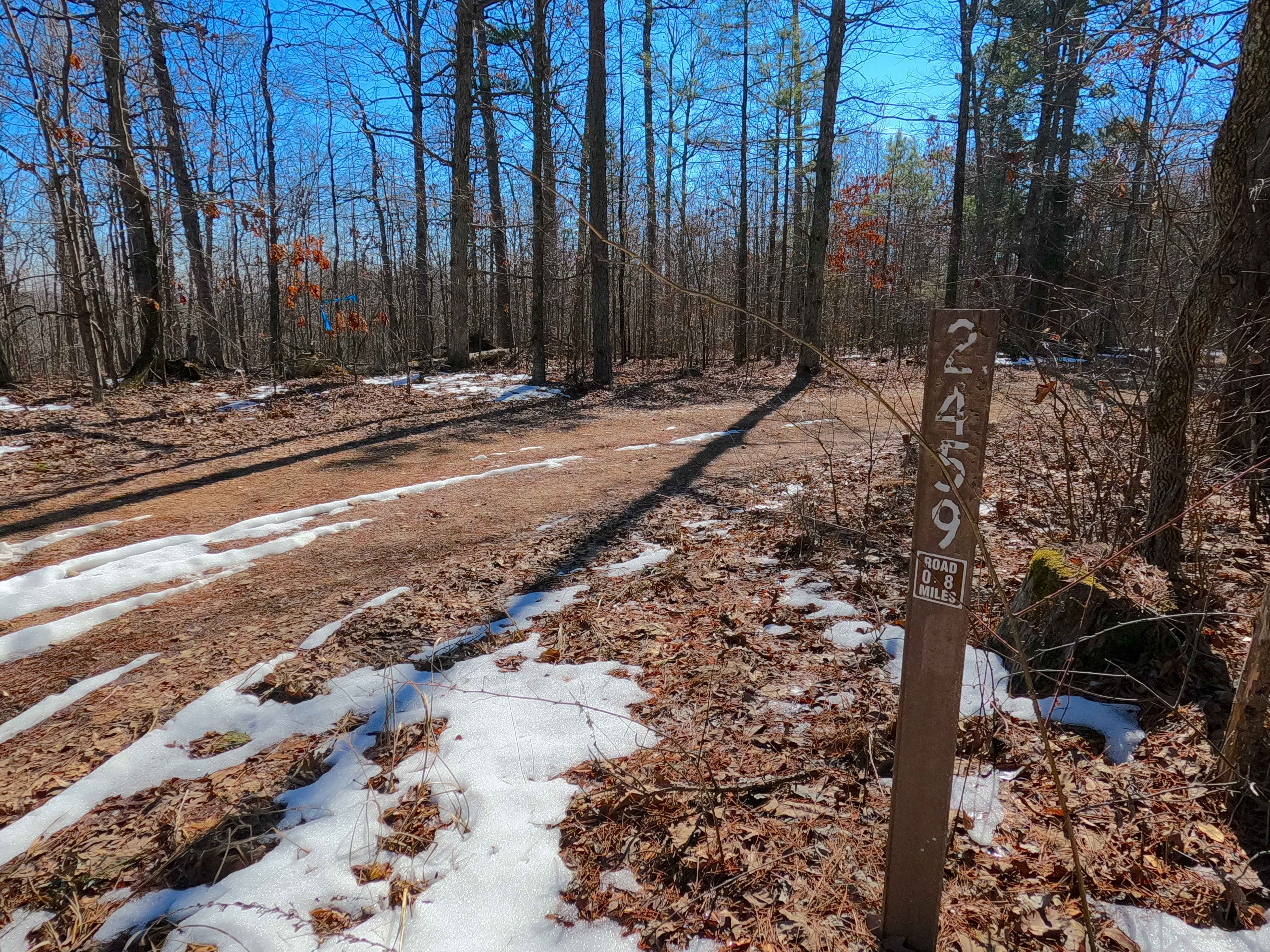 Bear Tick Ridge - FS 2459