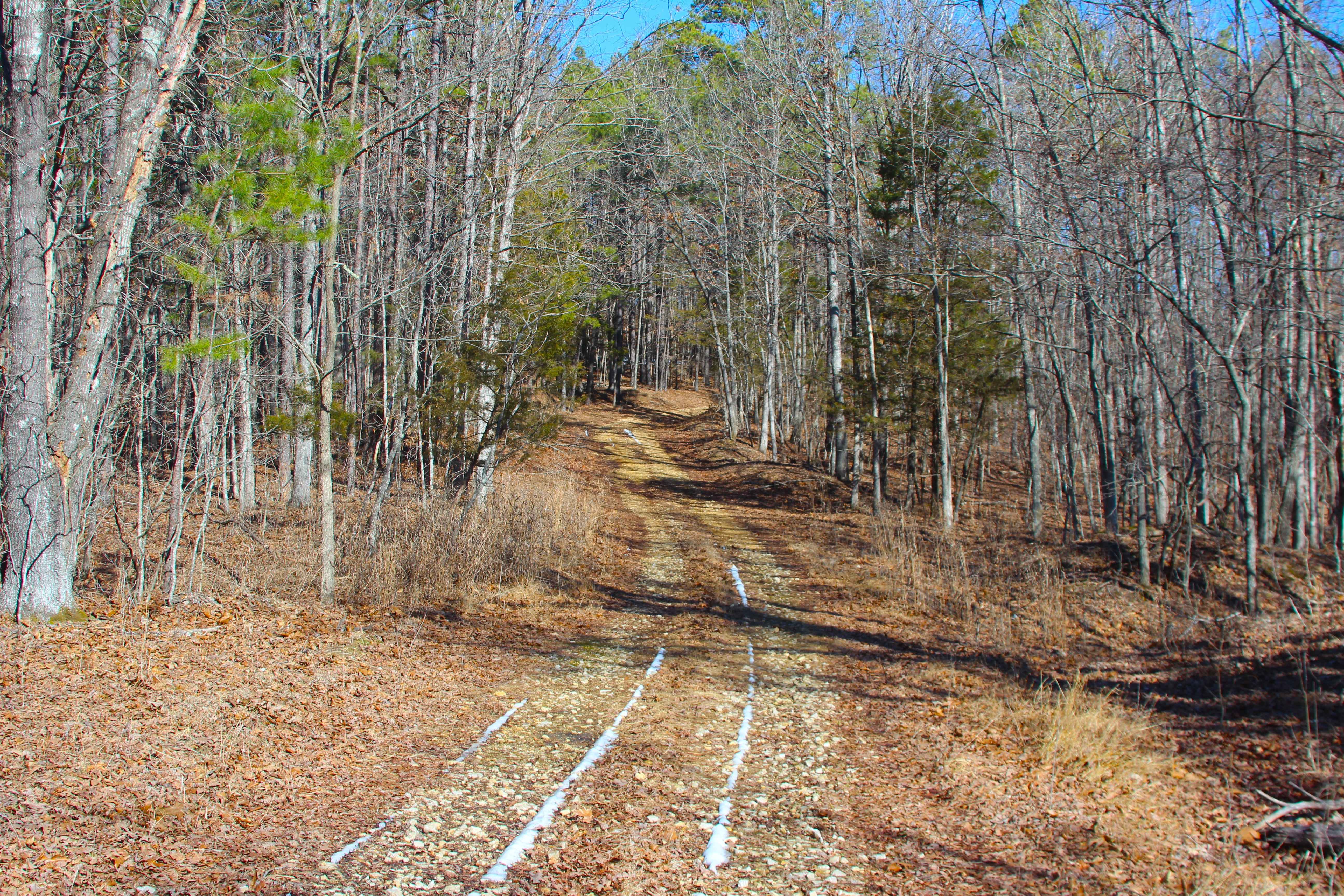 Bear Tick Ridge - FS 2459