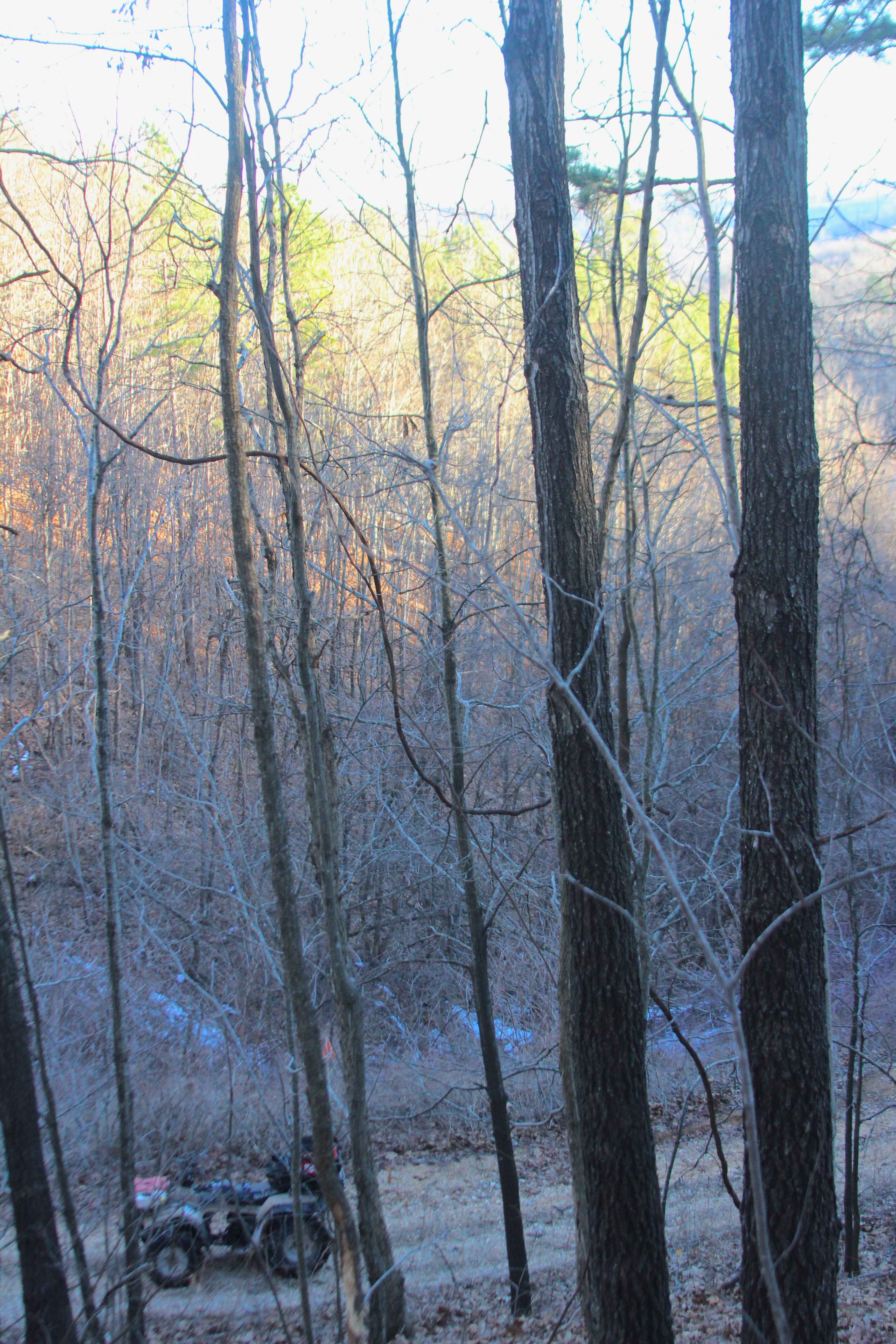 Cooks Branch - FS 2646