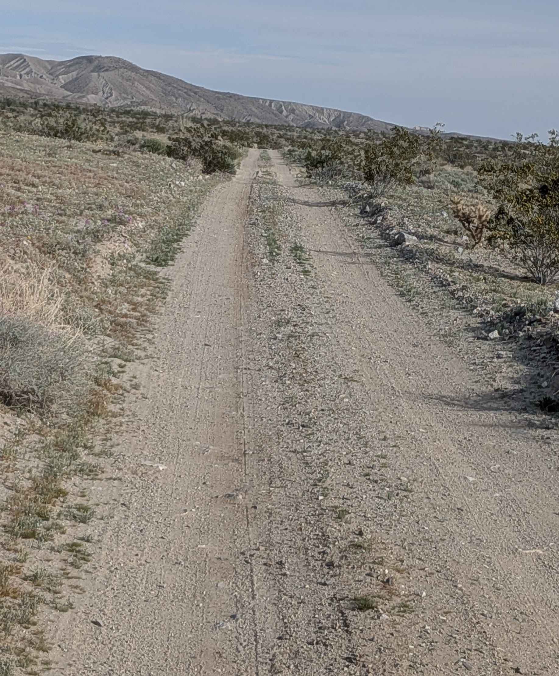 Truckhaven Trail West