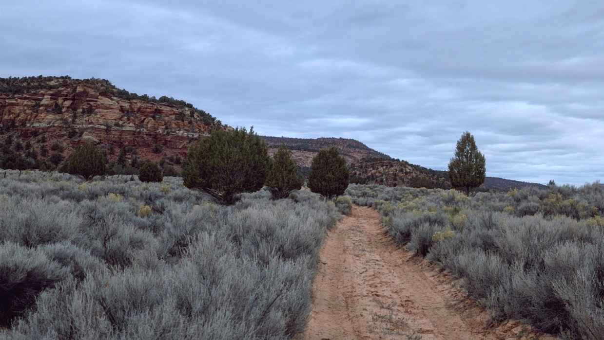 Rose Canyon - BLM M4156