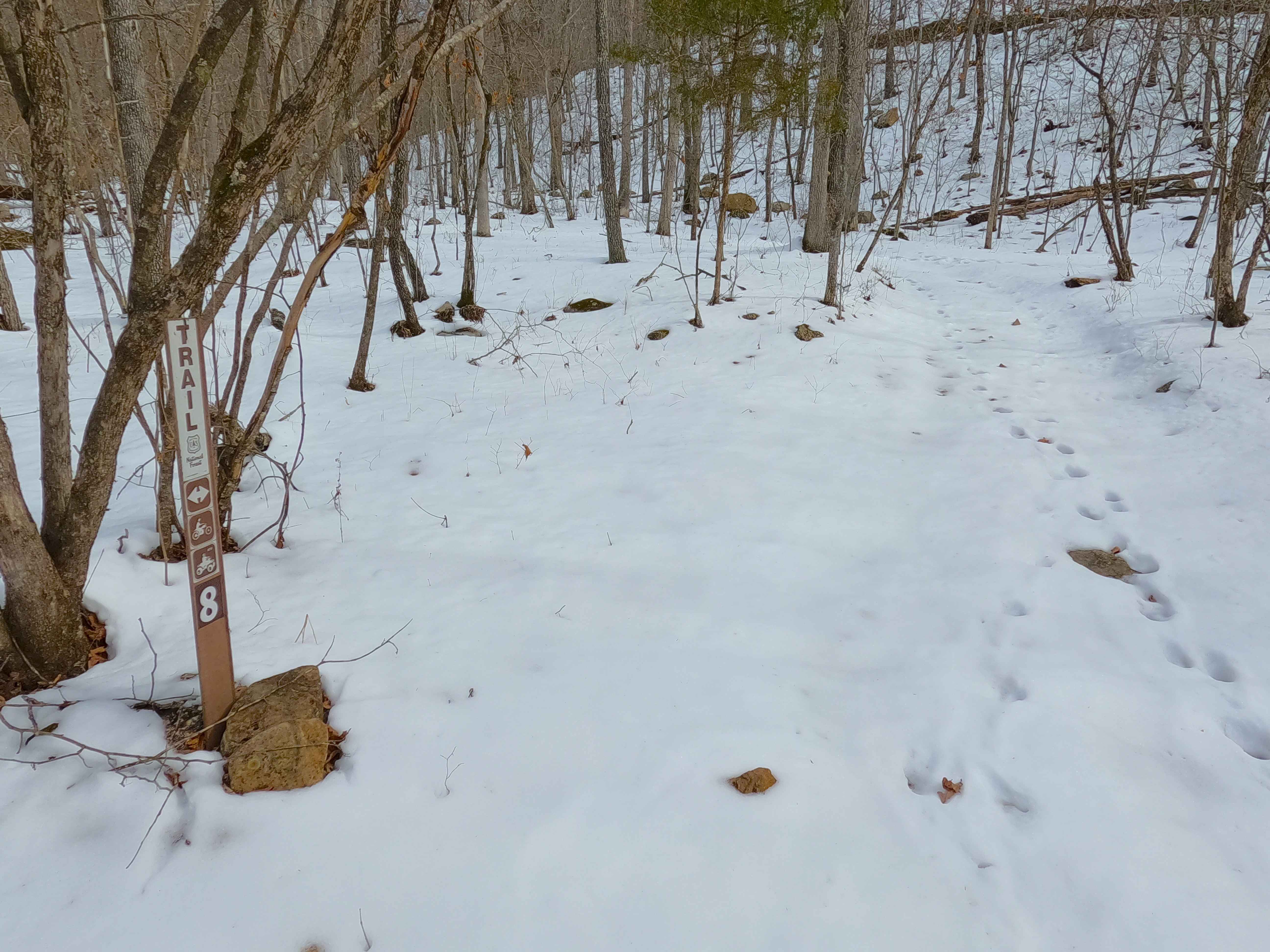 Sutton Bluff ATV 8 East - SB 8