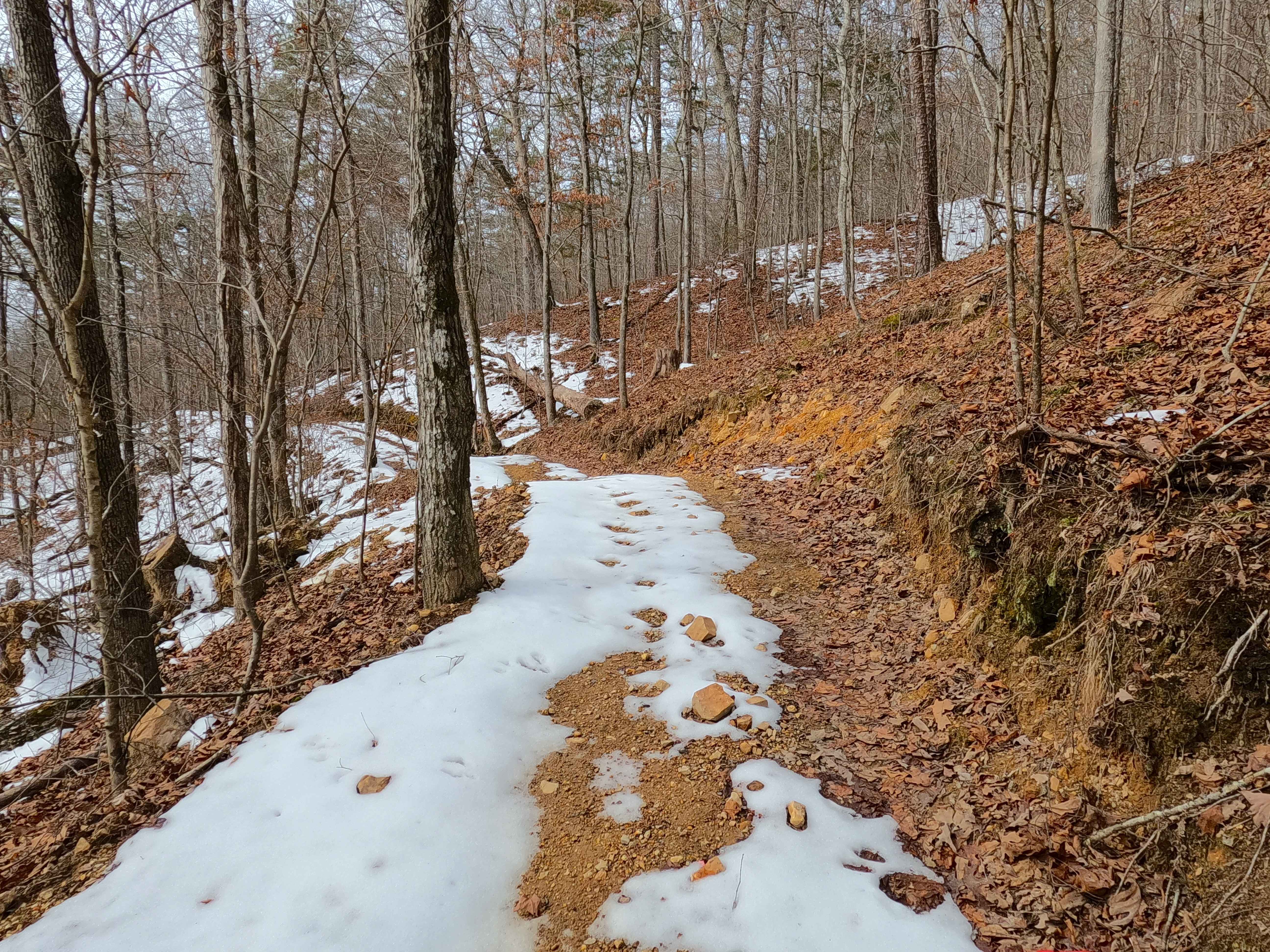 Sutton Bluff ATV 8 West - SB 8