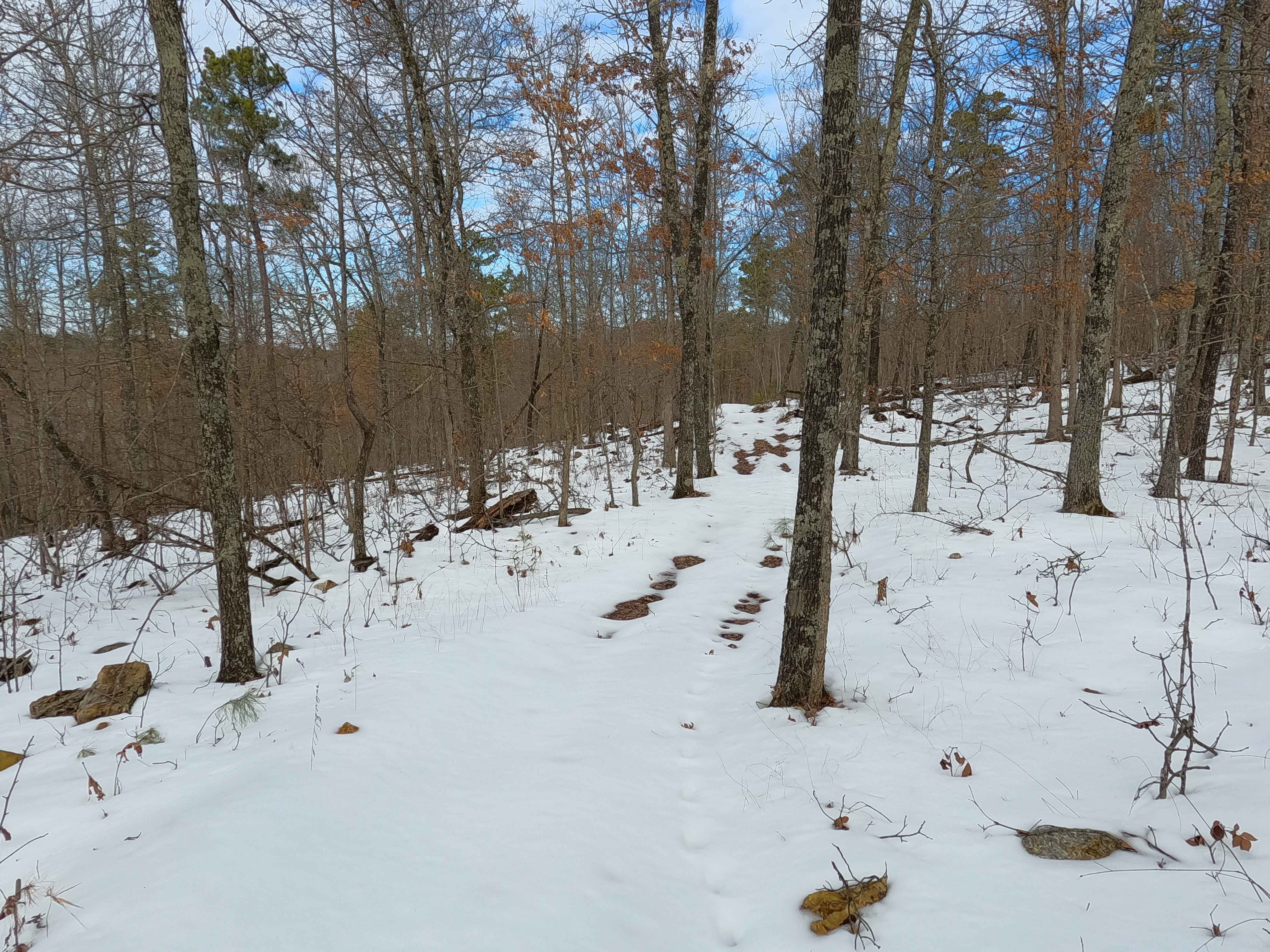 Sutton Bluff ATV 16 - SB 16