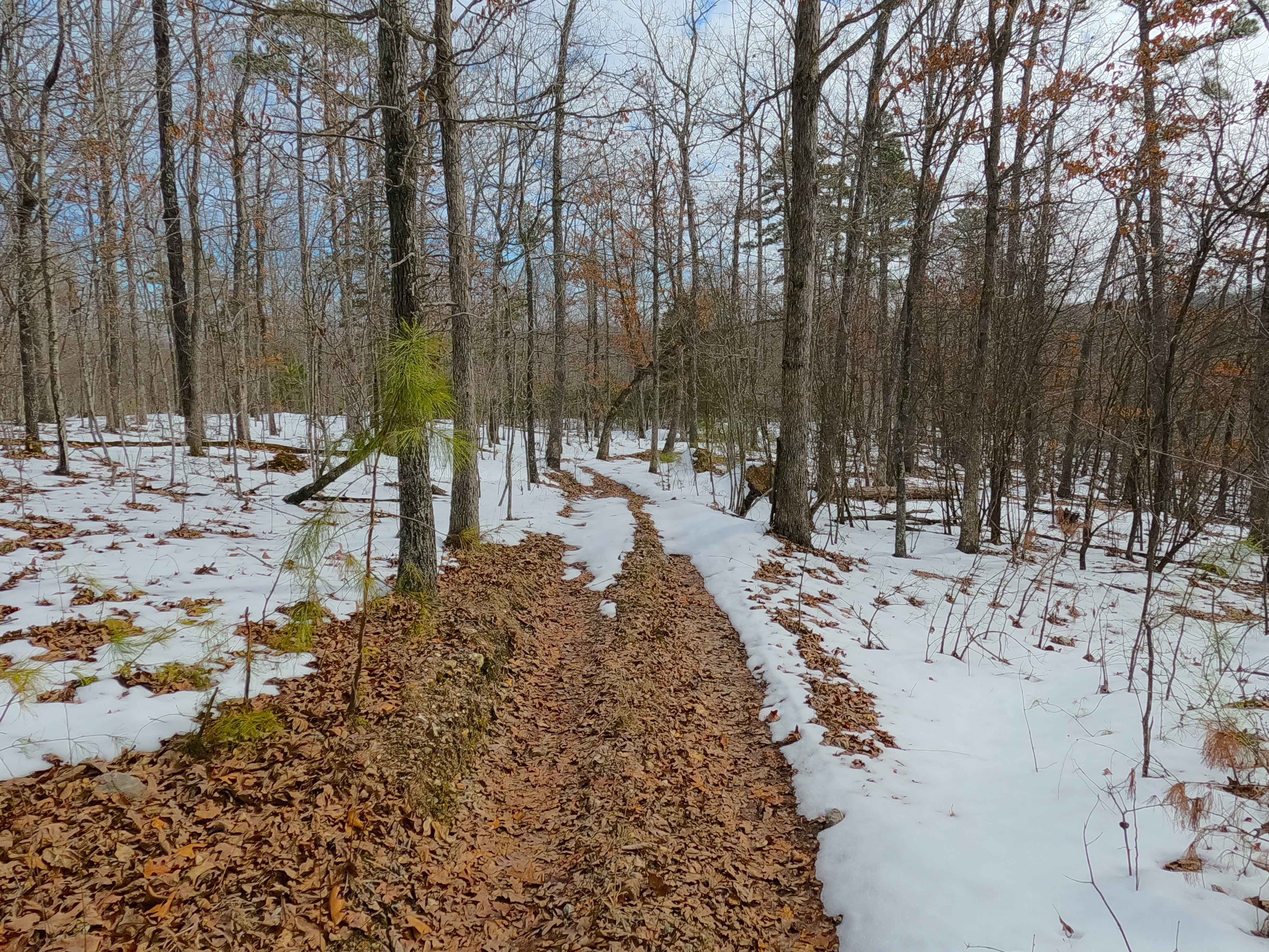 Sutton Bluff ATV 18 - SB 18