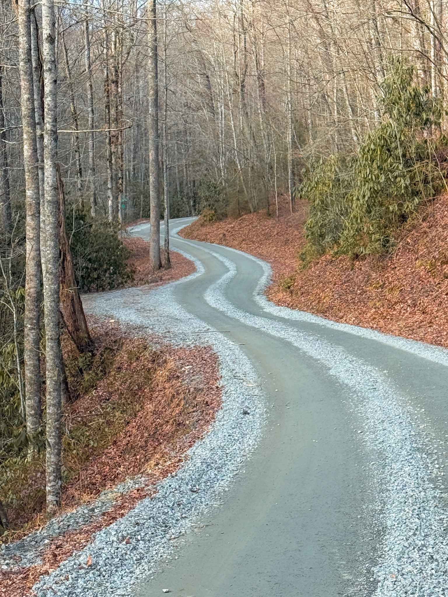 Cathey's Creek Road - FS 471