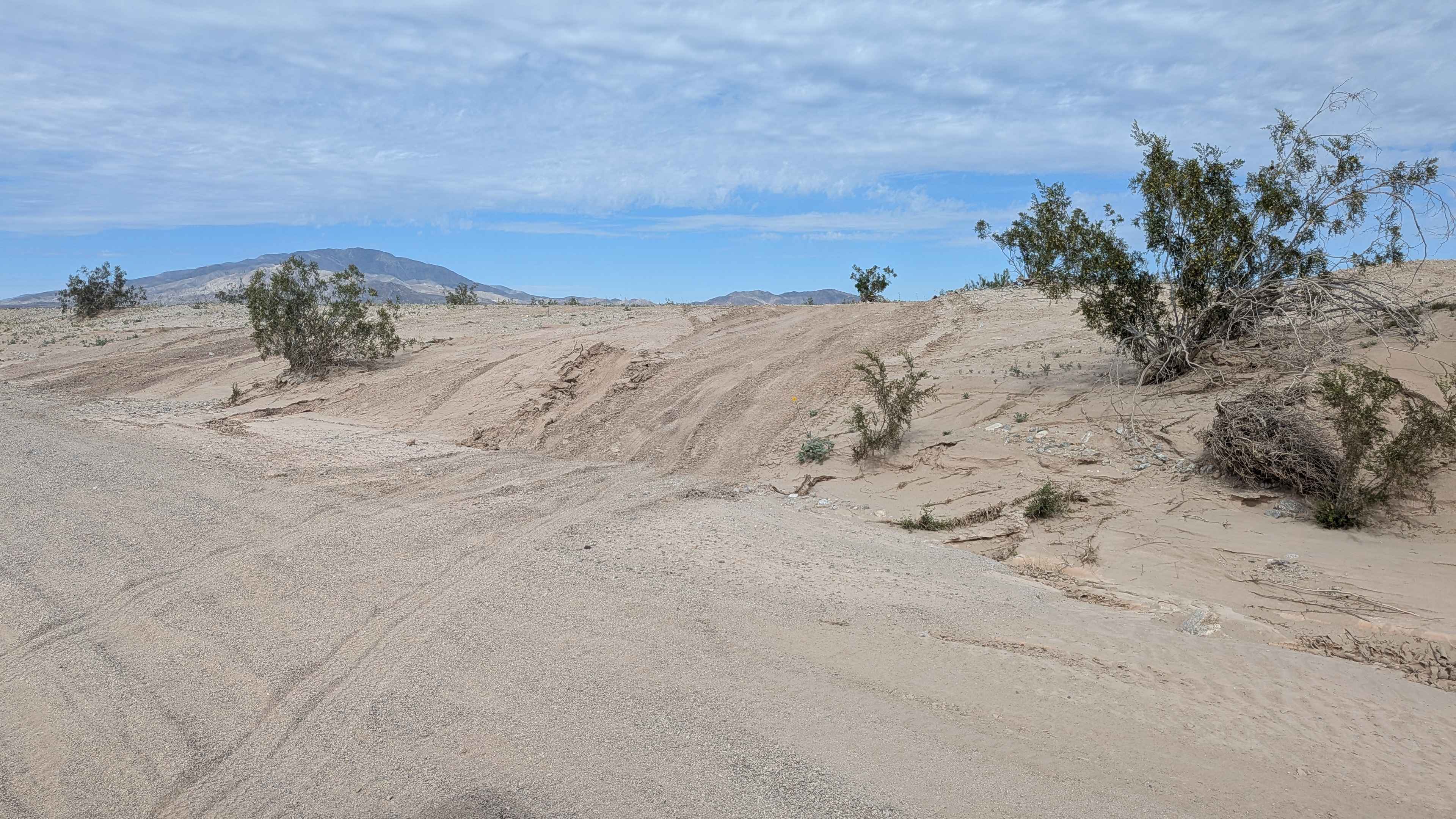 Veterans Pass Cut-off