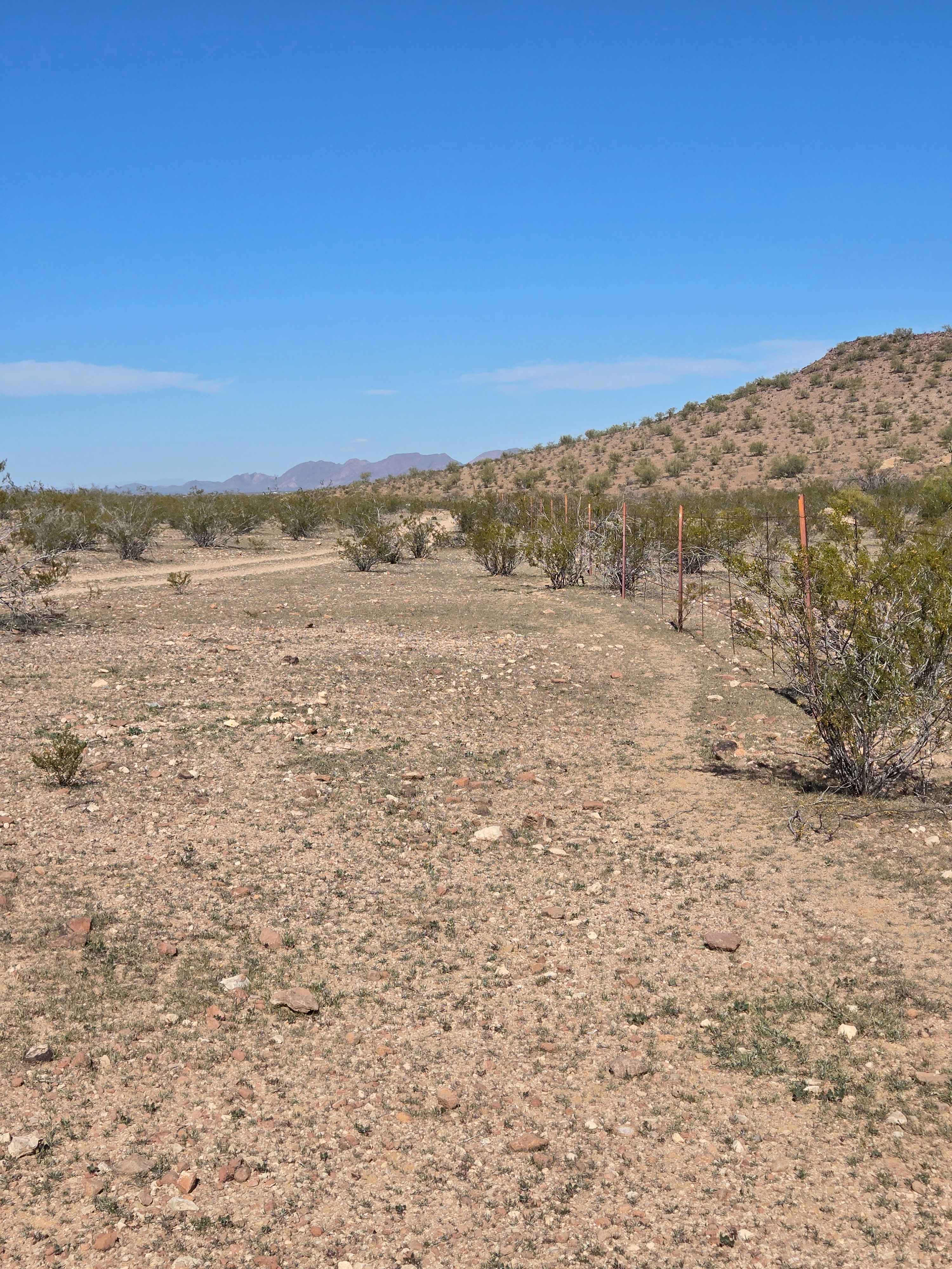 Cut Across the Grassy Plain (Trail 41056/9104)