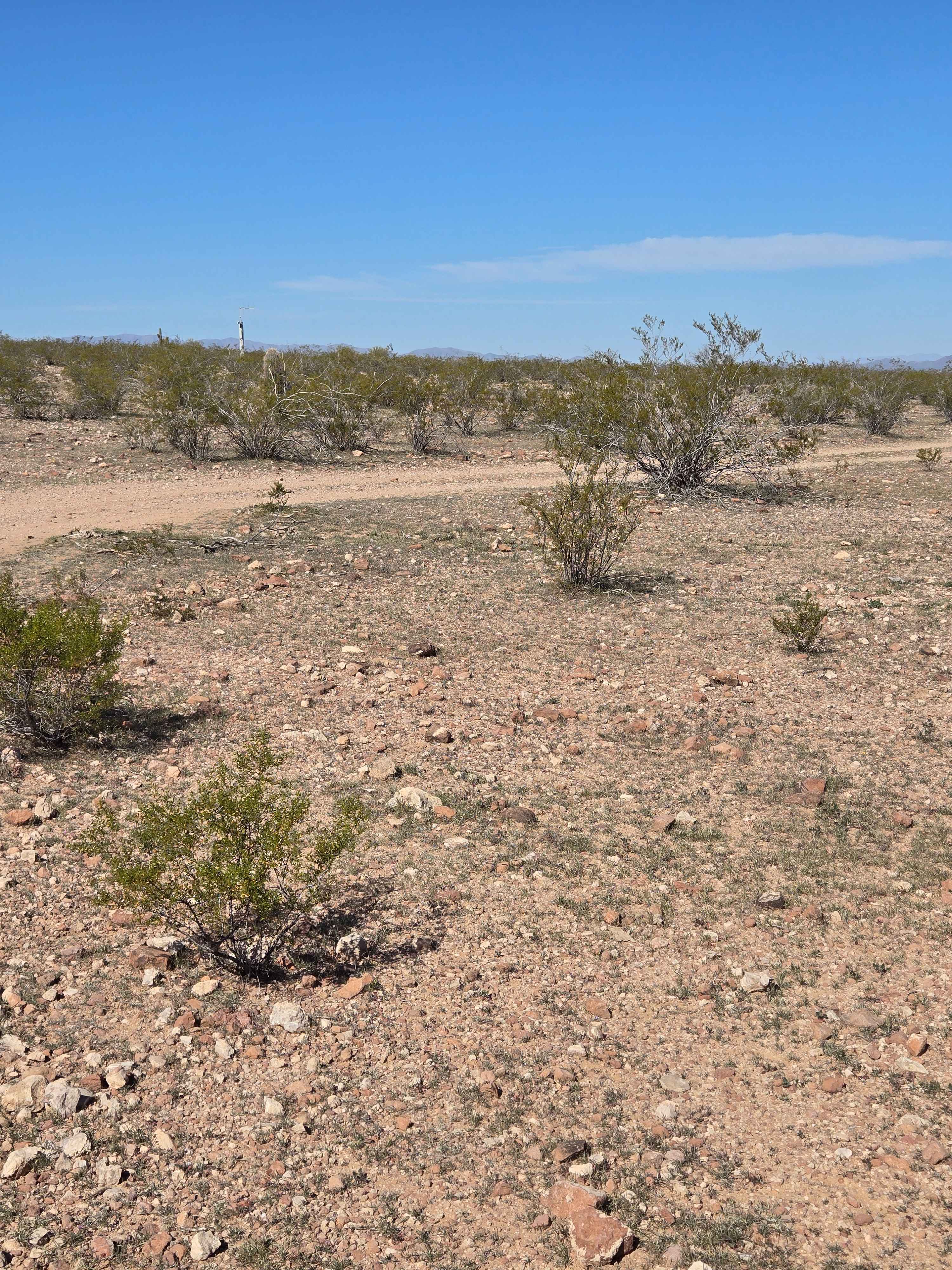Cut Across the Grassy Plain (Trail 41056/9104)