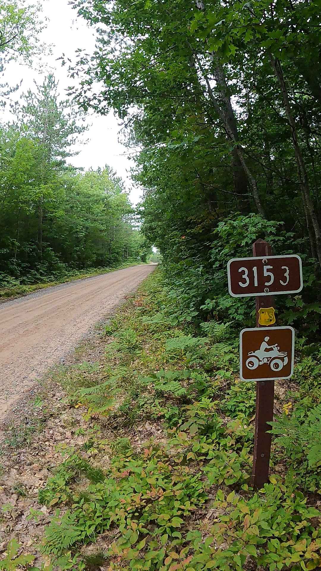 Old Brimley Grade - FS 3153