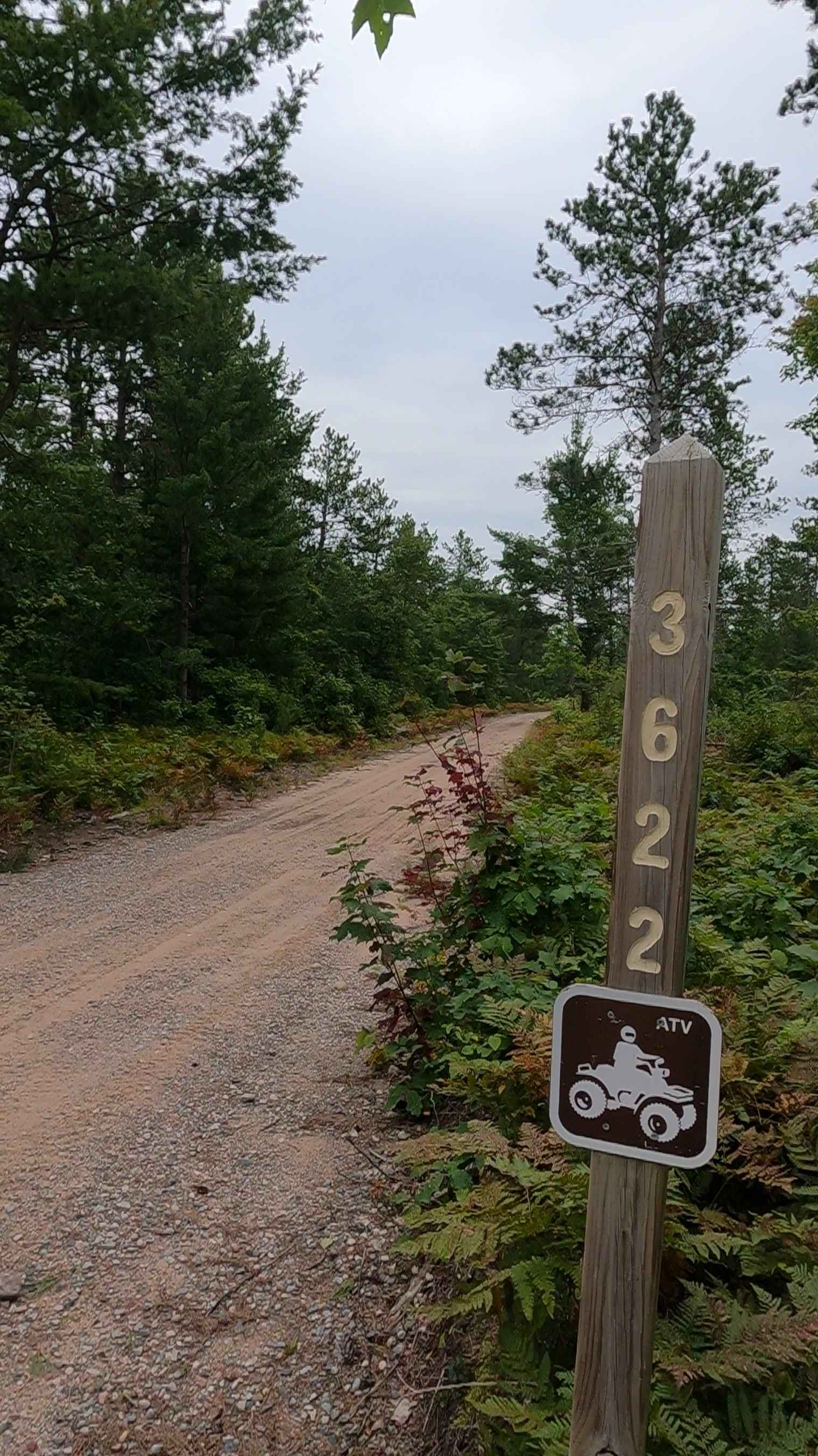 Avery South - FS 3622