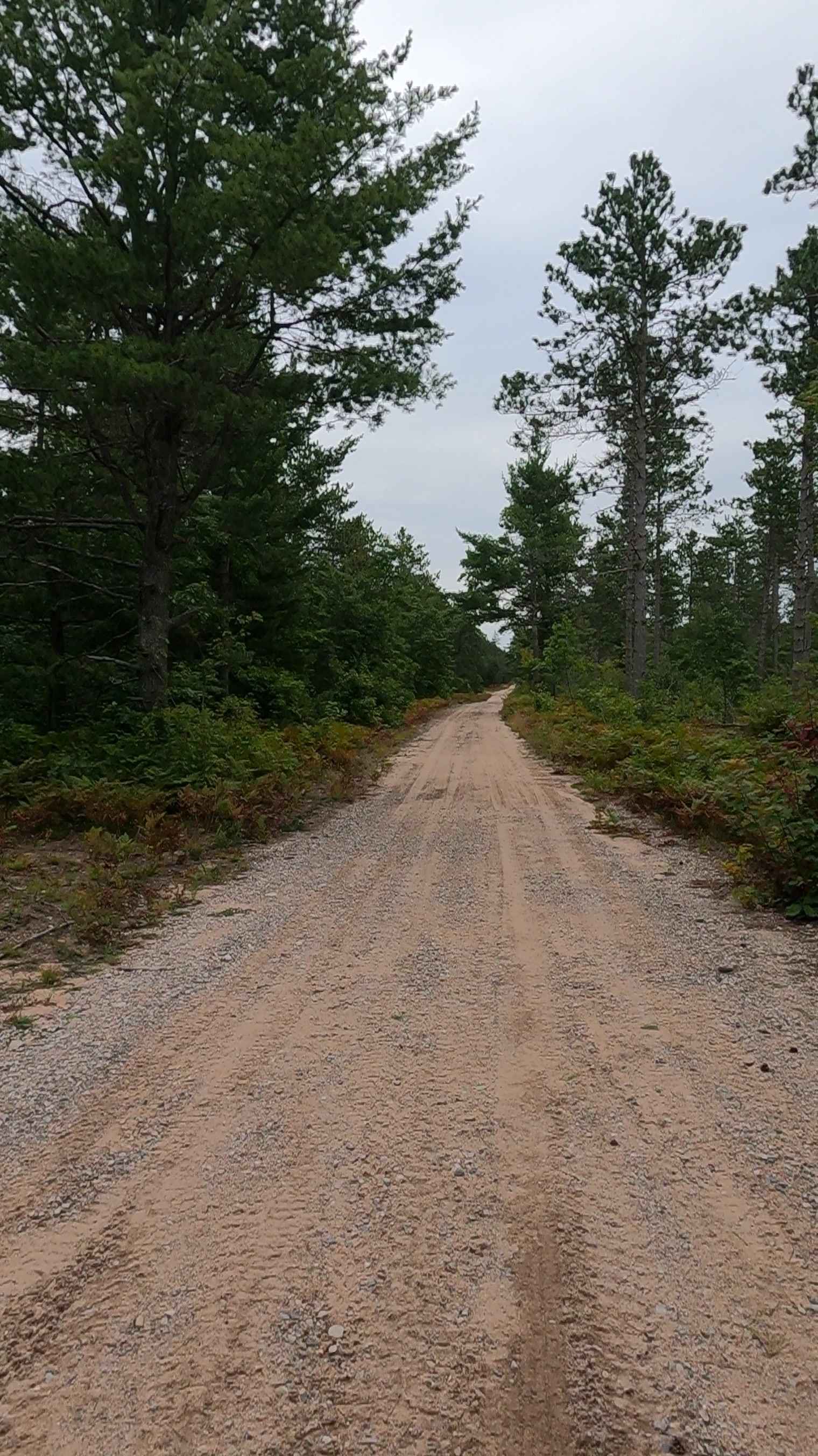 Avery South - FS 3622