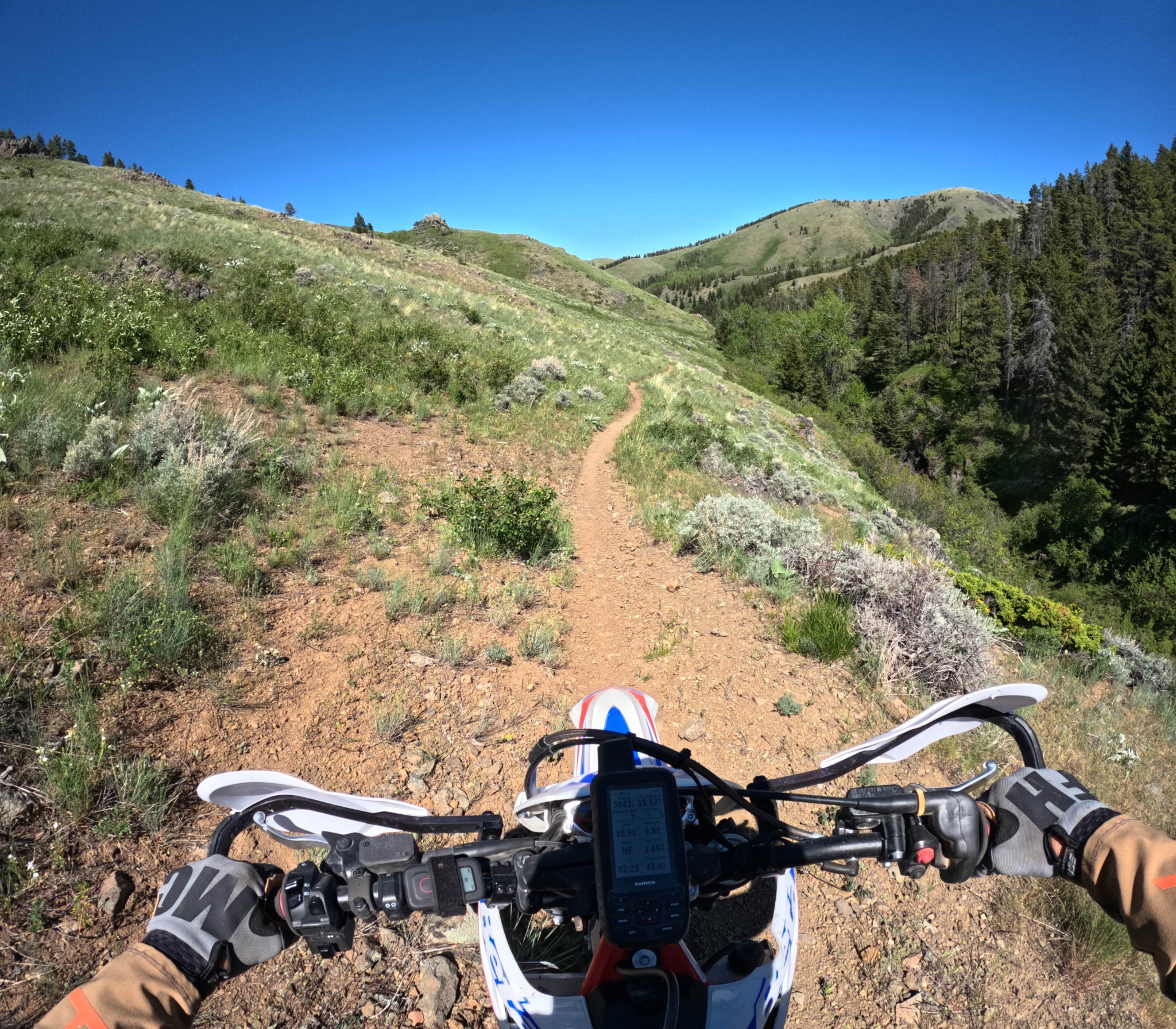 Center Ridge/North Fork Highwood Creek