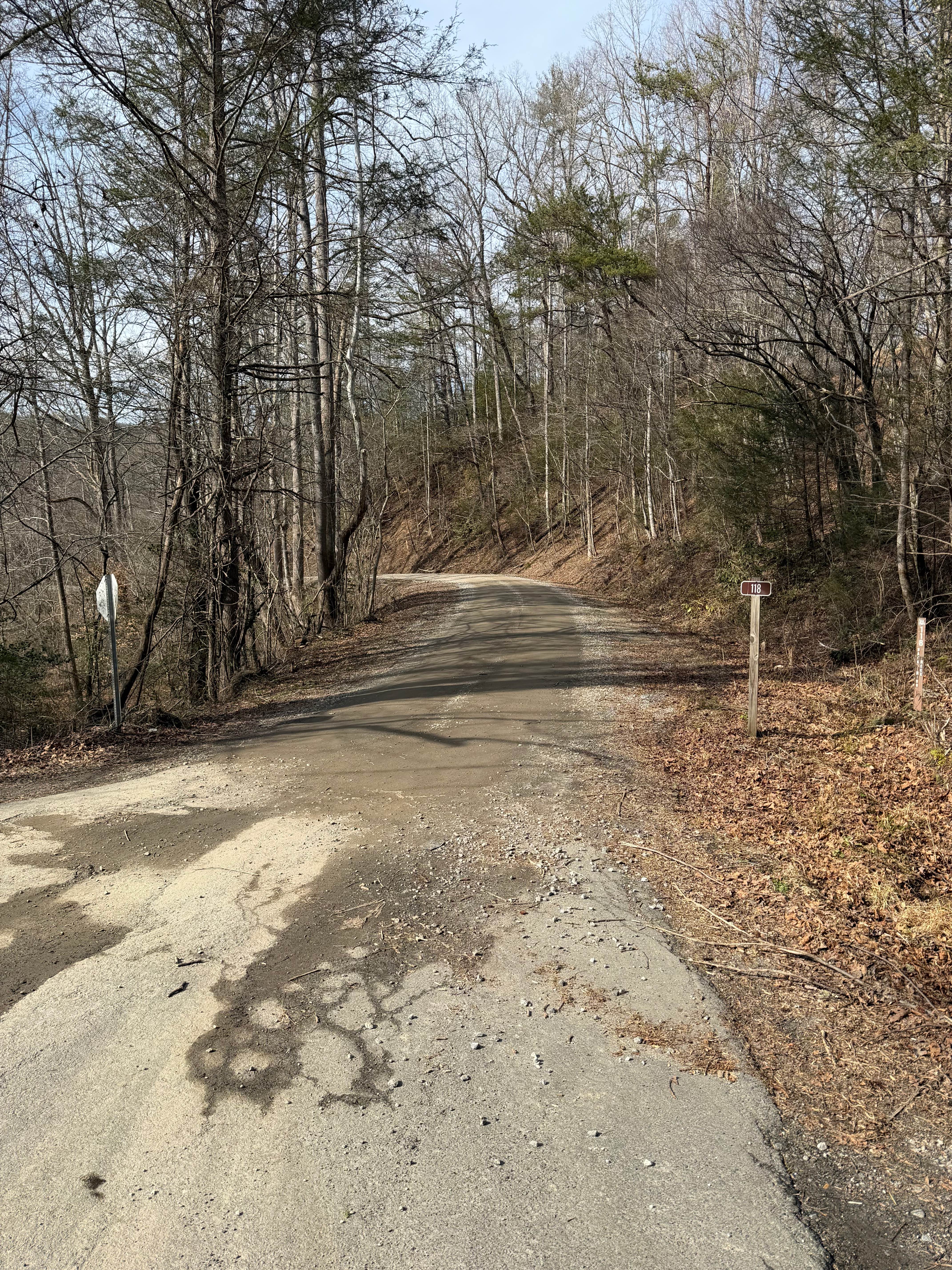 Back Irish Creek - FS 118