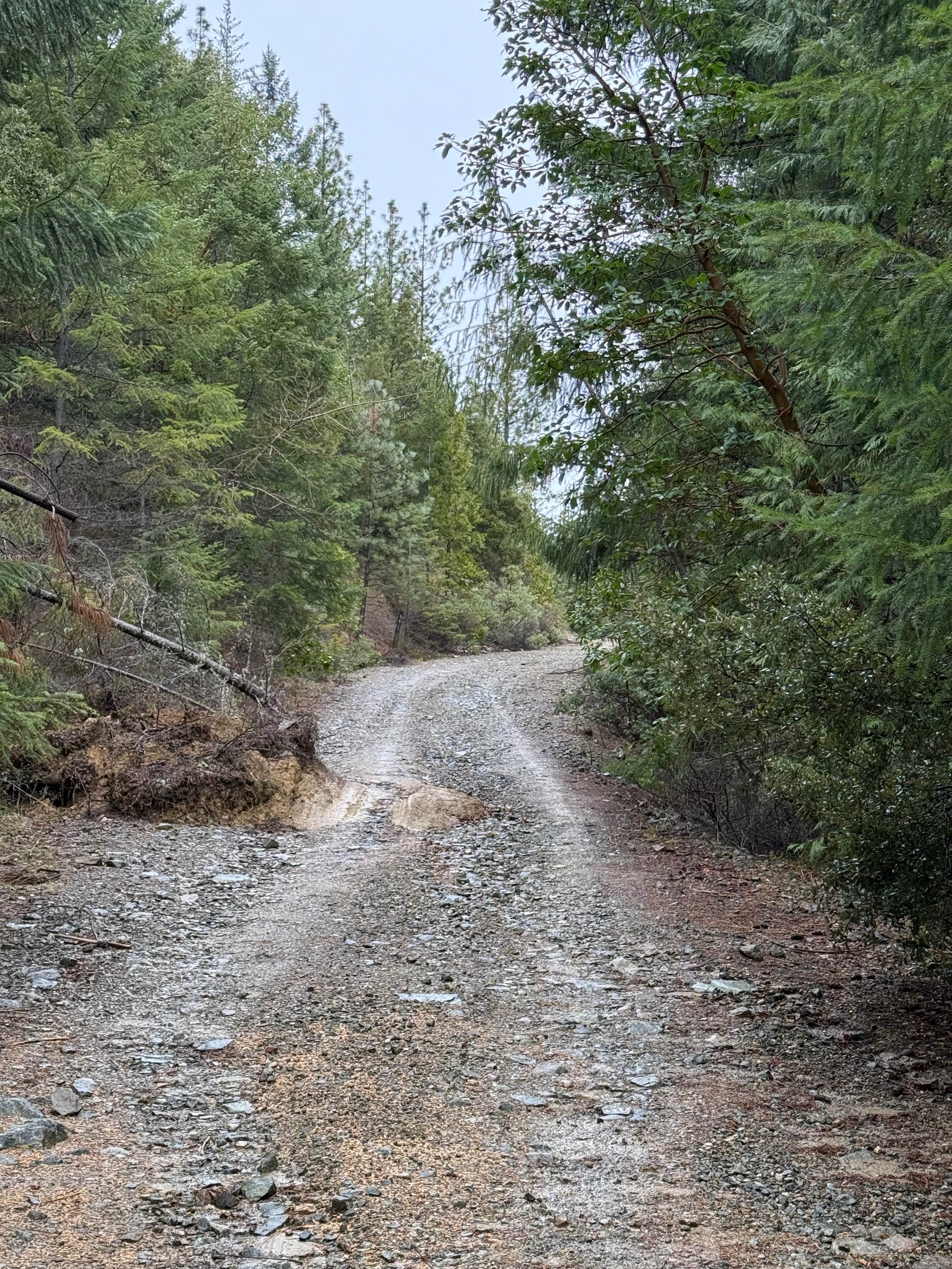 Walker Mountain Road