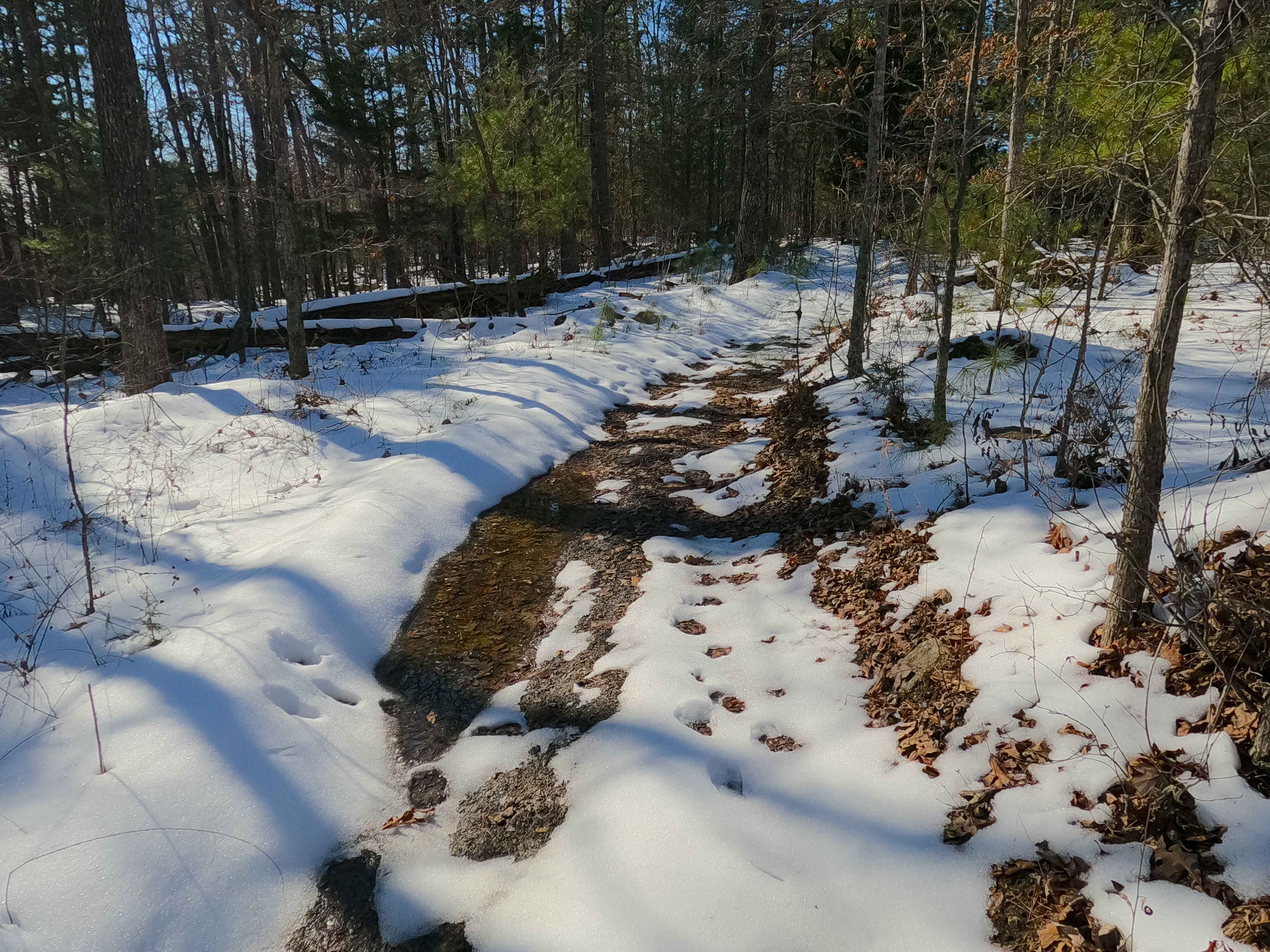 Sutton Bluff ATV 7 North - SB 7