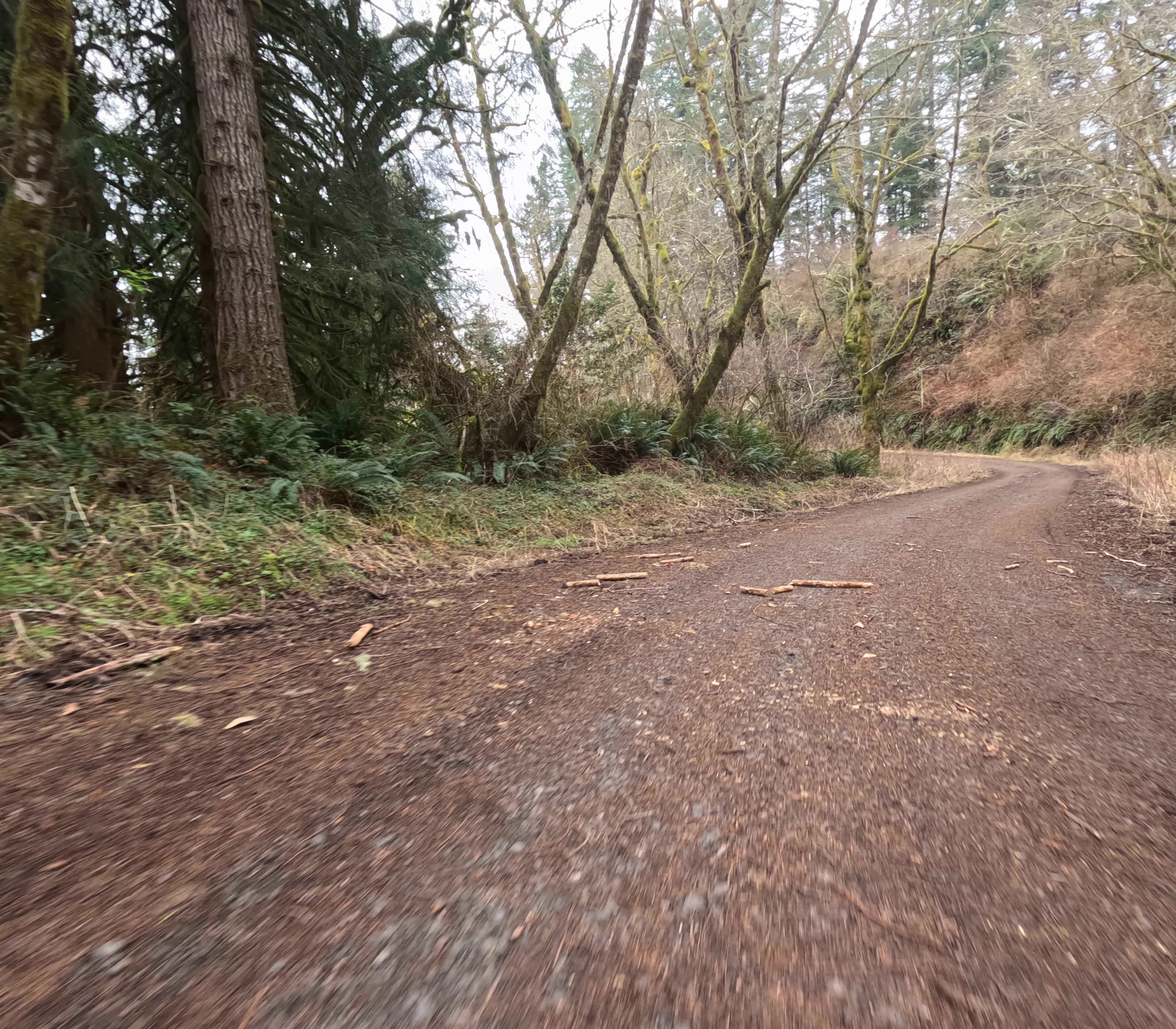 Tenmile Butte Road - 3500