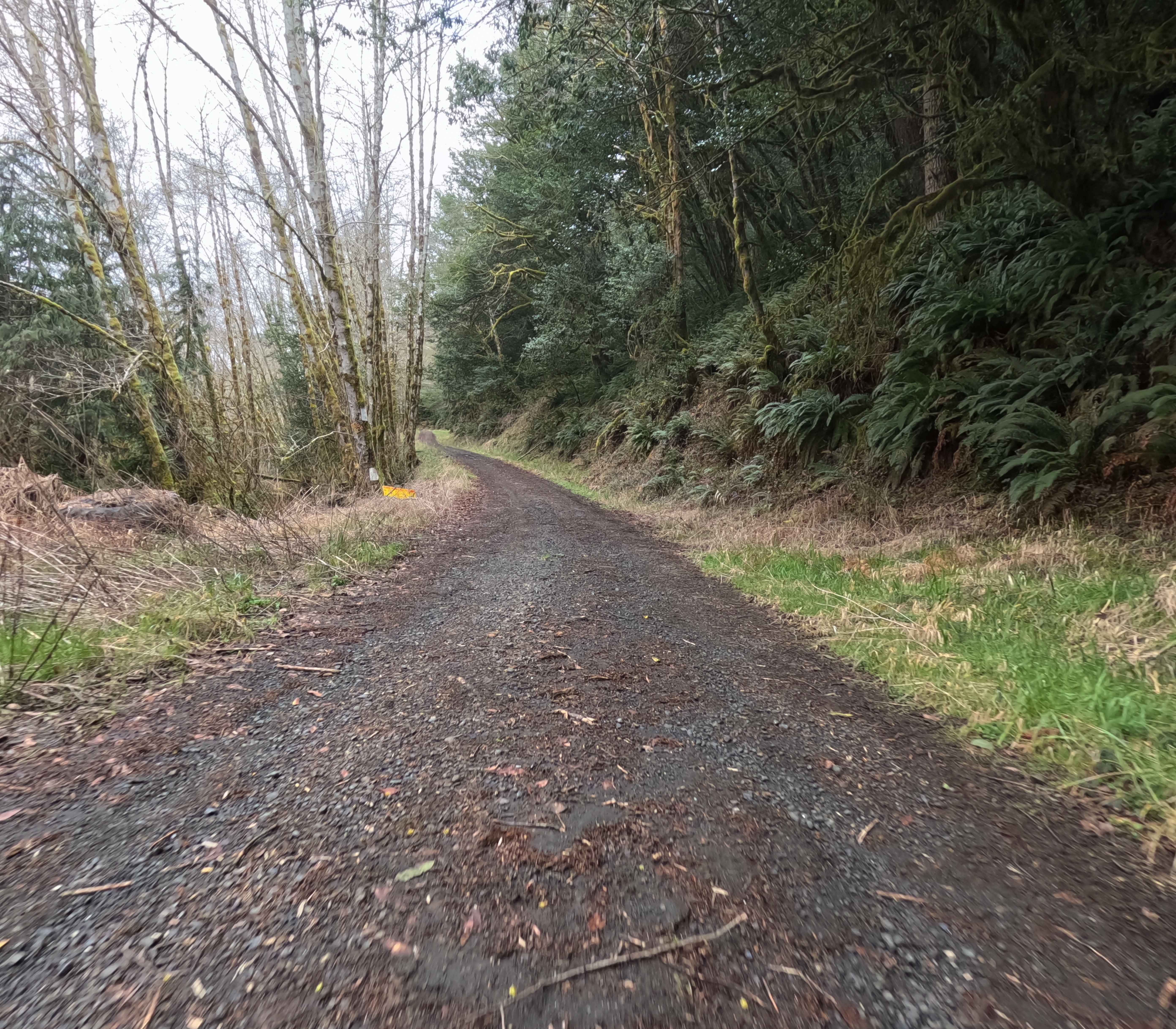 Tenmile Butte Road - 3500