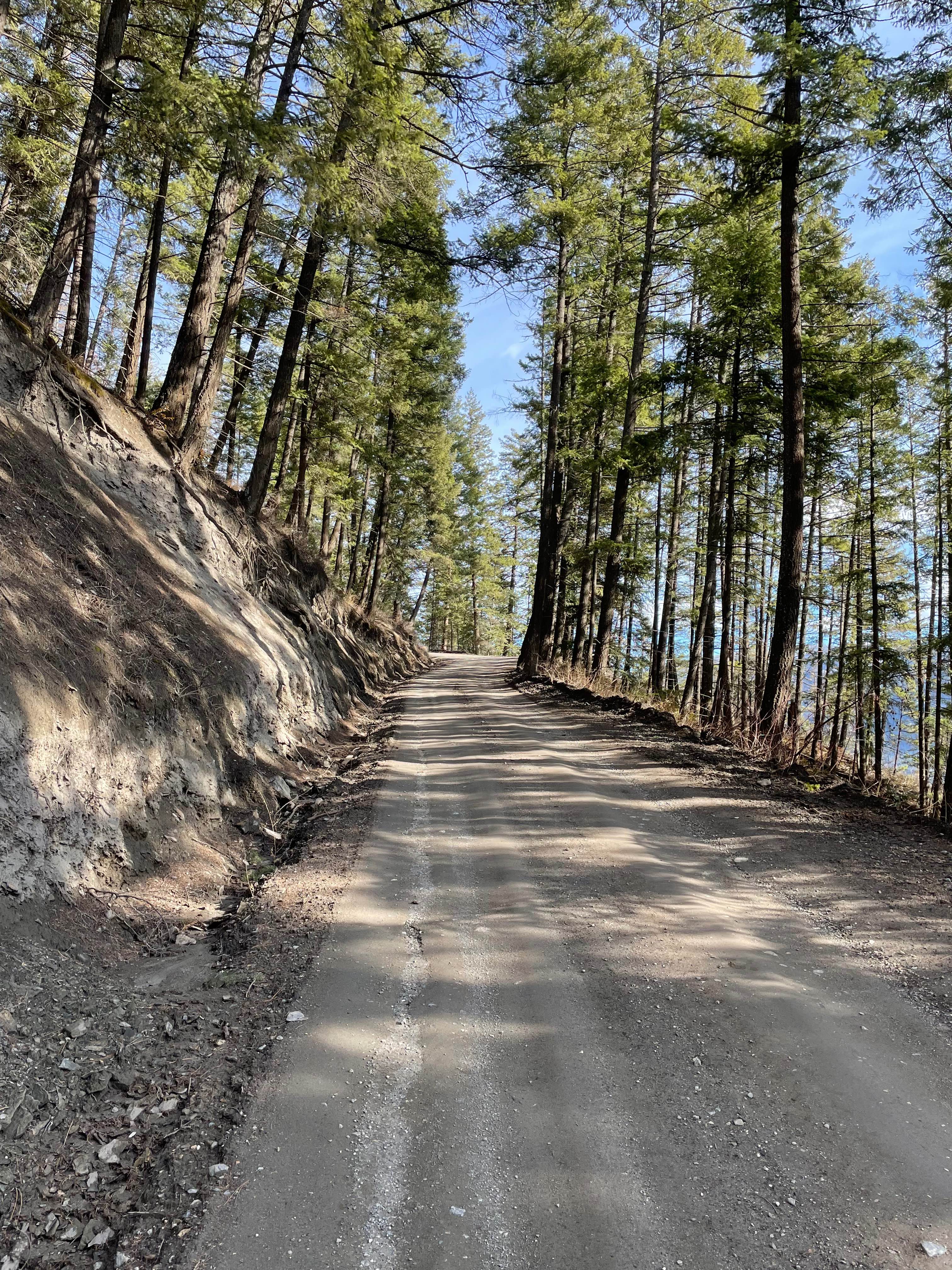 Bastion Mountain Lookout